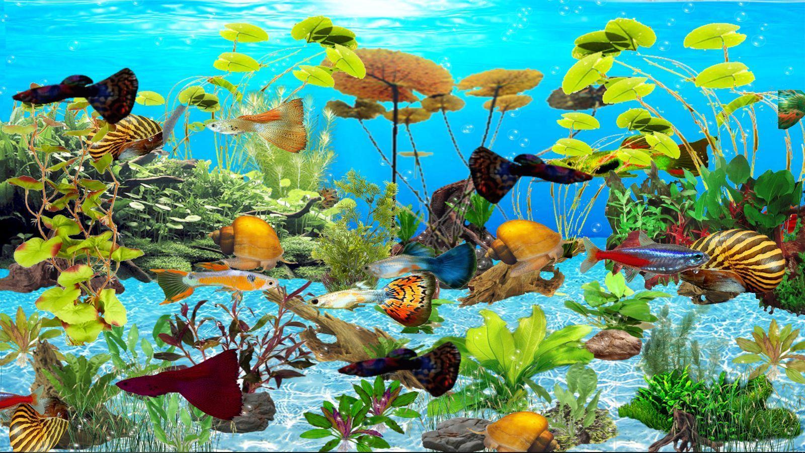 3D animated Guppies Aquarium wallpaper and screensavers