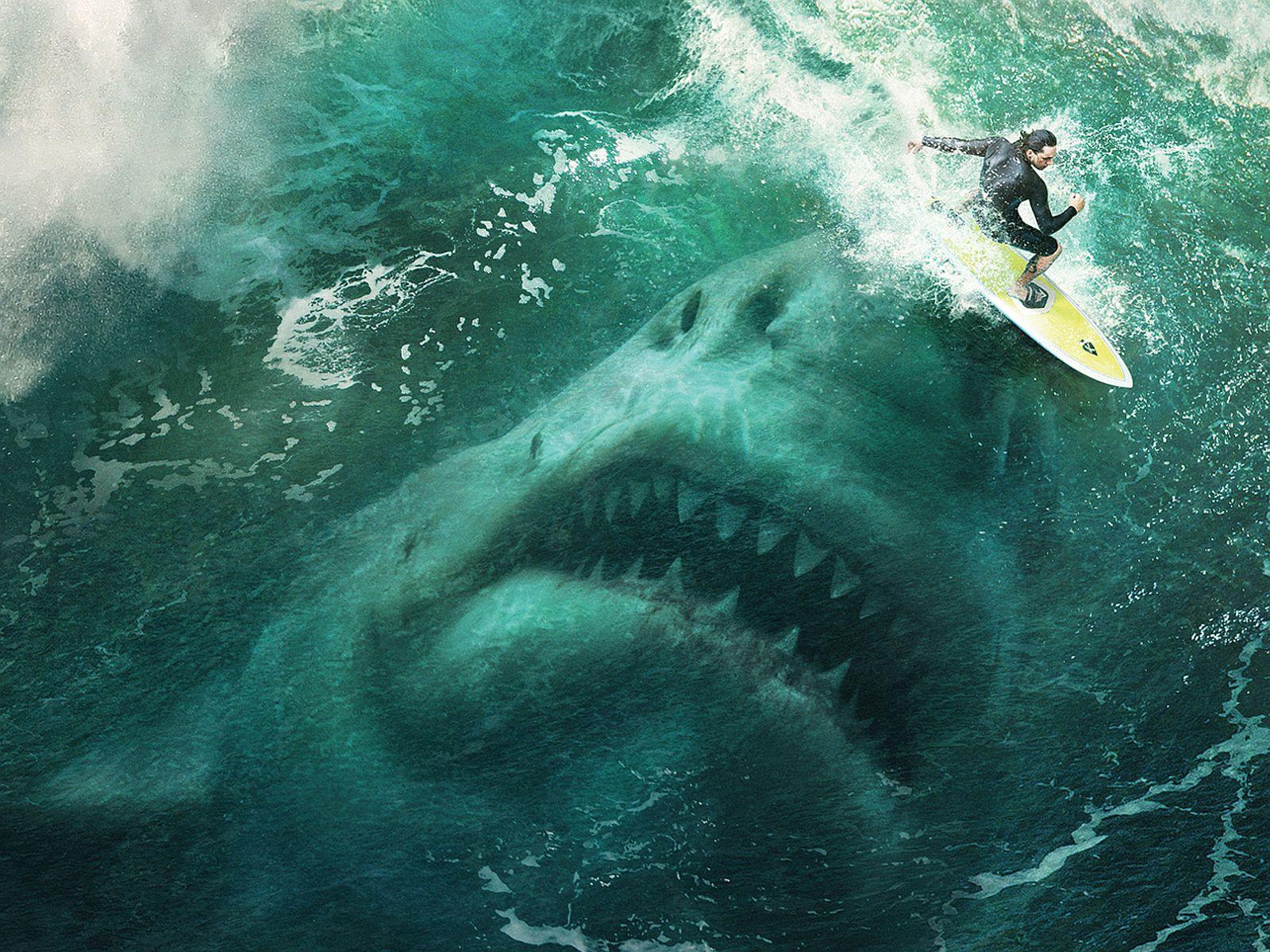 The Meg Wallpaper and Background Imagex1200