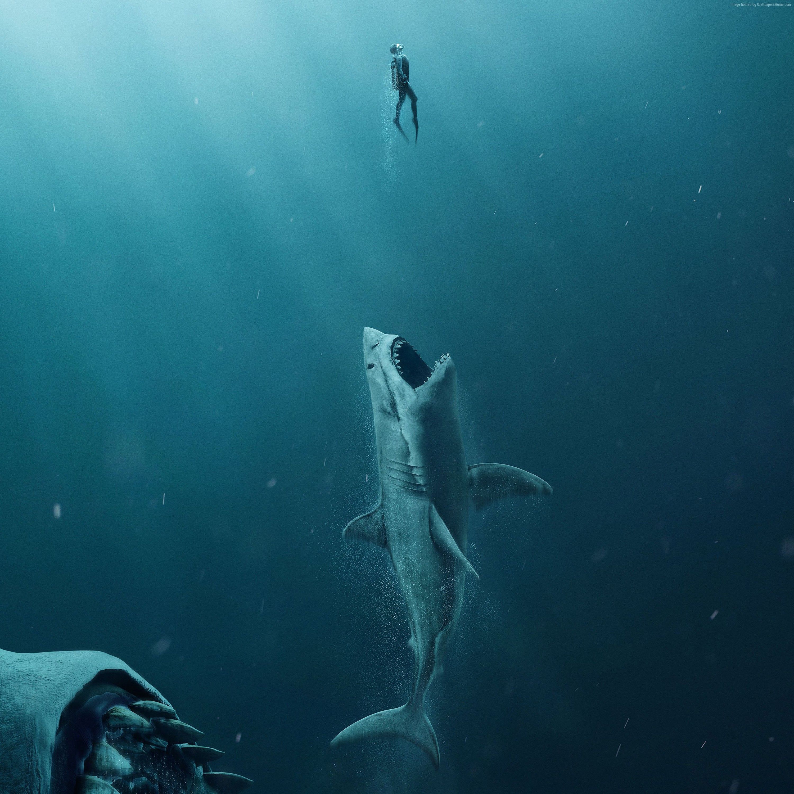Wallpaper The Meg, shark, 4k, Movies