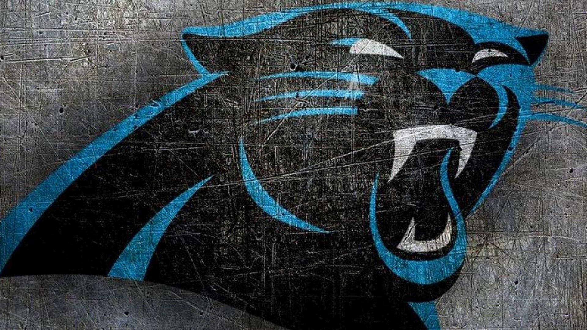 Carolina Panthers Desktop Wallpaper NFL Football Wallpaper