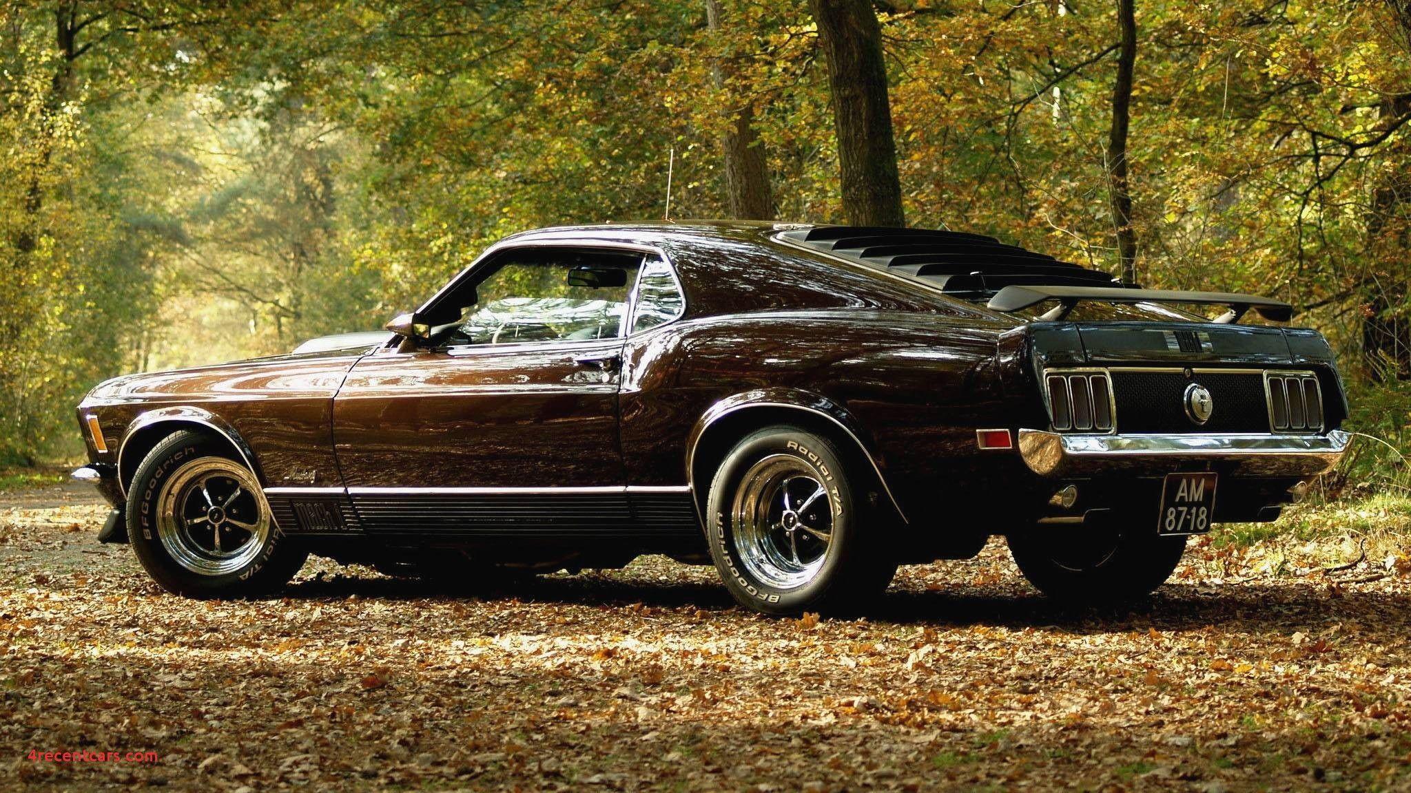 Muscle cars wallpaper Gallery