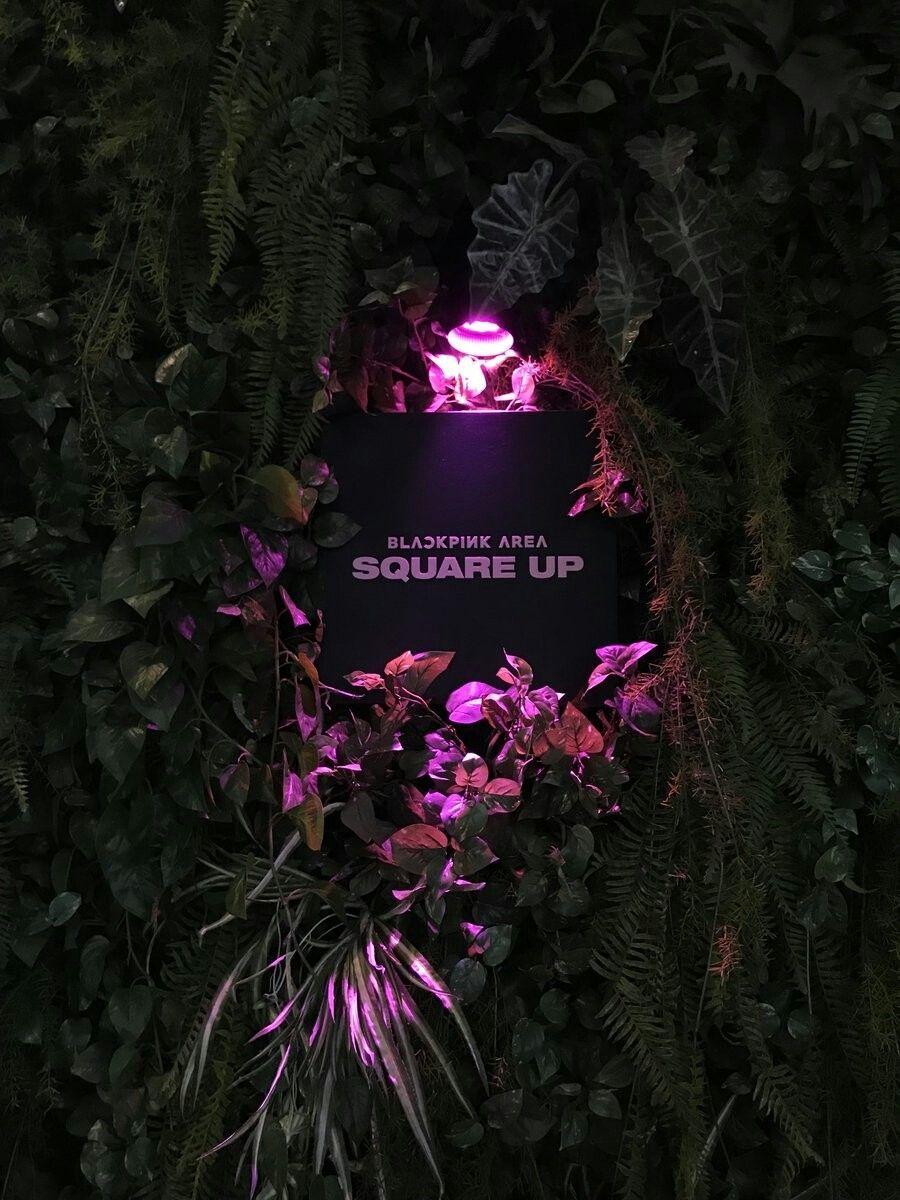 BLACKPINK HOUSE Is Now Turned Into [SQUARE UP] CONCEPT POP UP