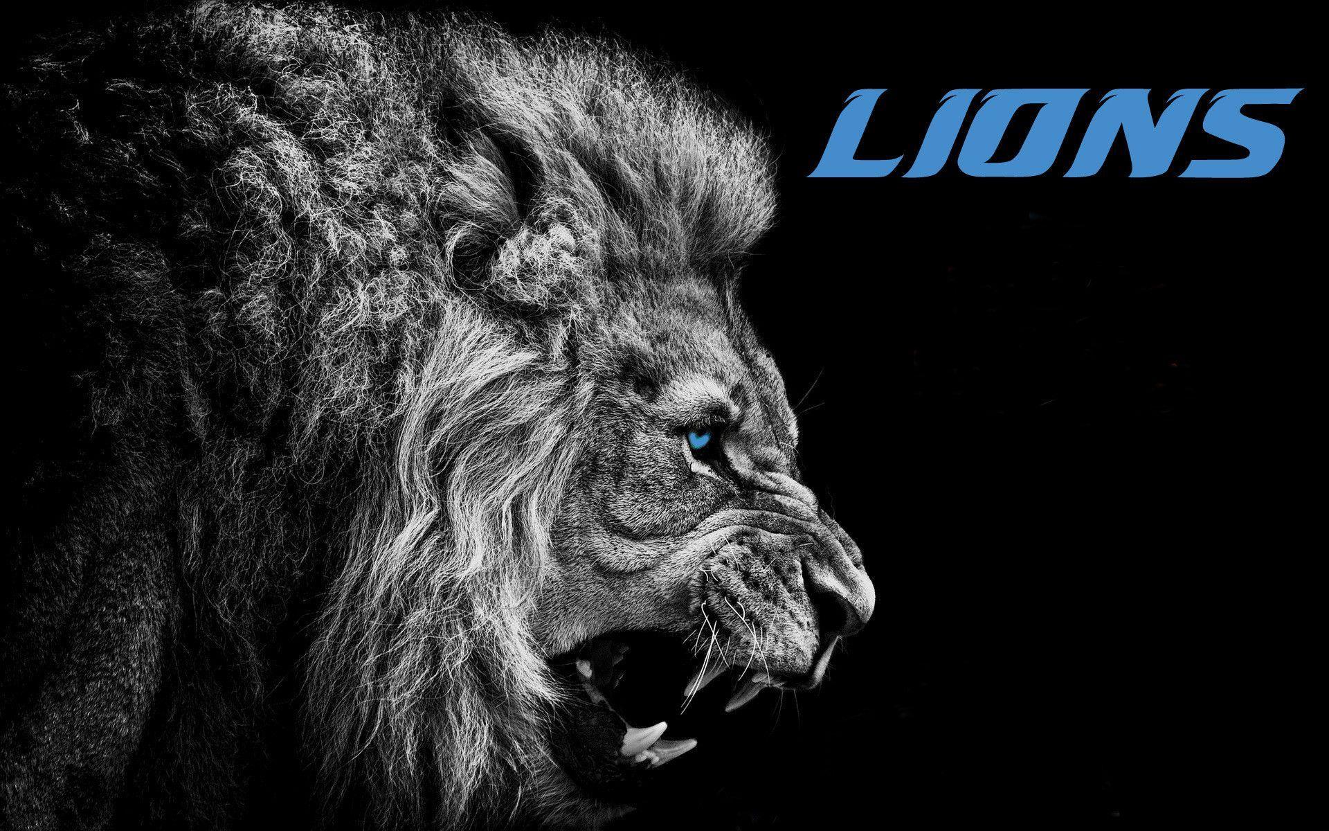 Detroit Lions Wallpaper HD (Picture)