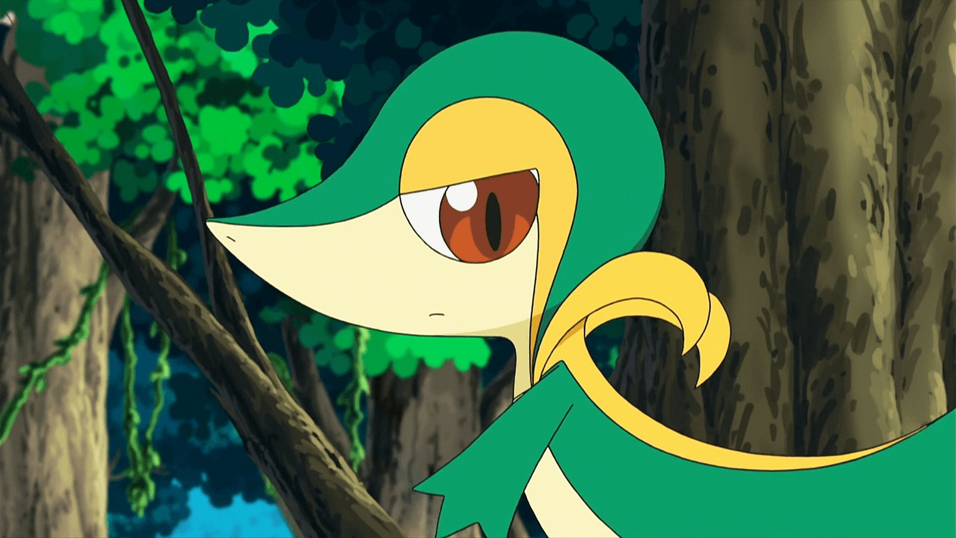 Snivy HD Wallpapers - Wallpaper Cave