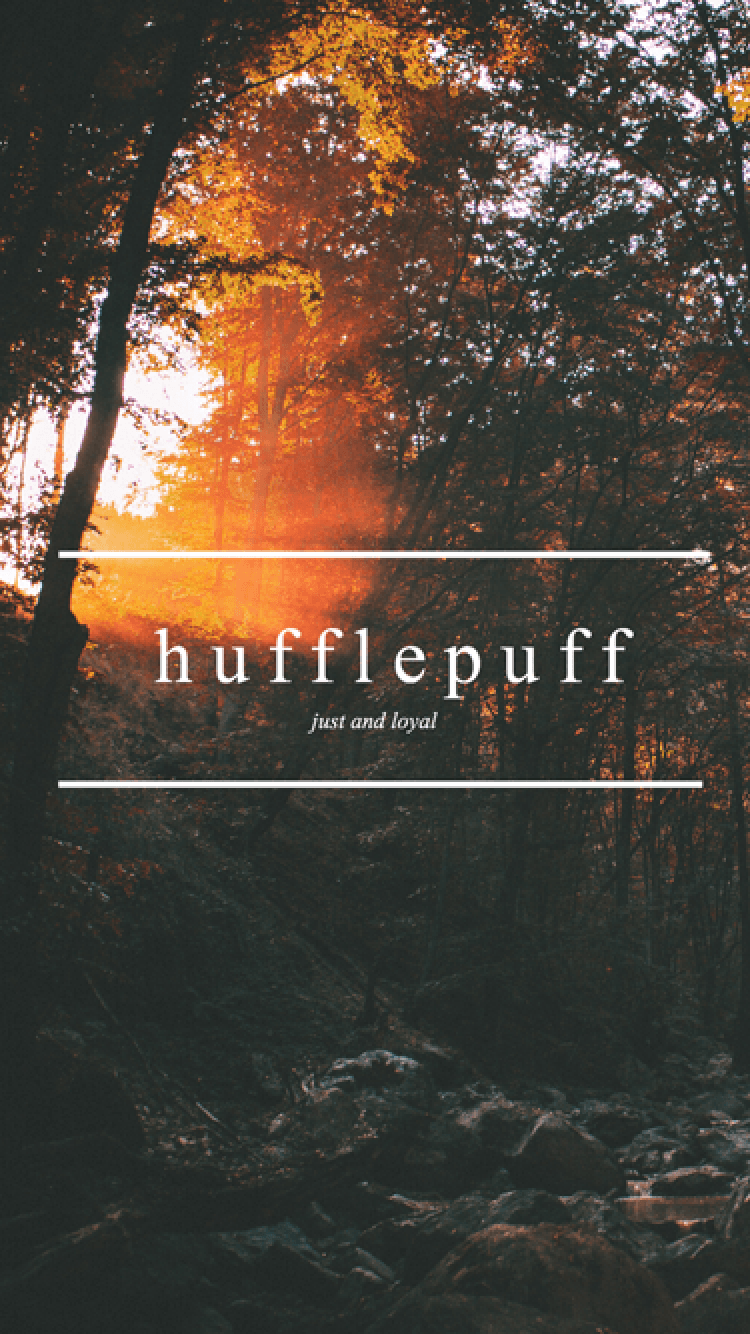 Hufflepuff Wallpaper. hufflepuff common room