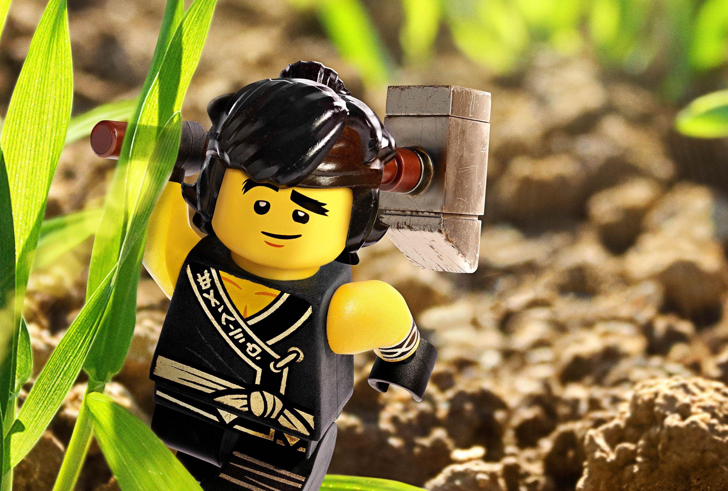 Cole The LEGO Ninjago Movie, HD Movies, 4k Wallpaper, Image