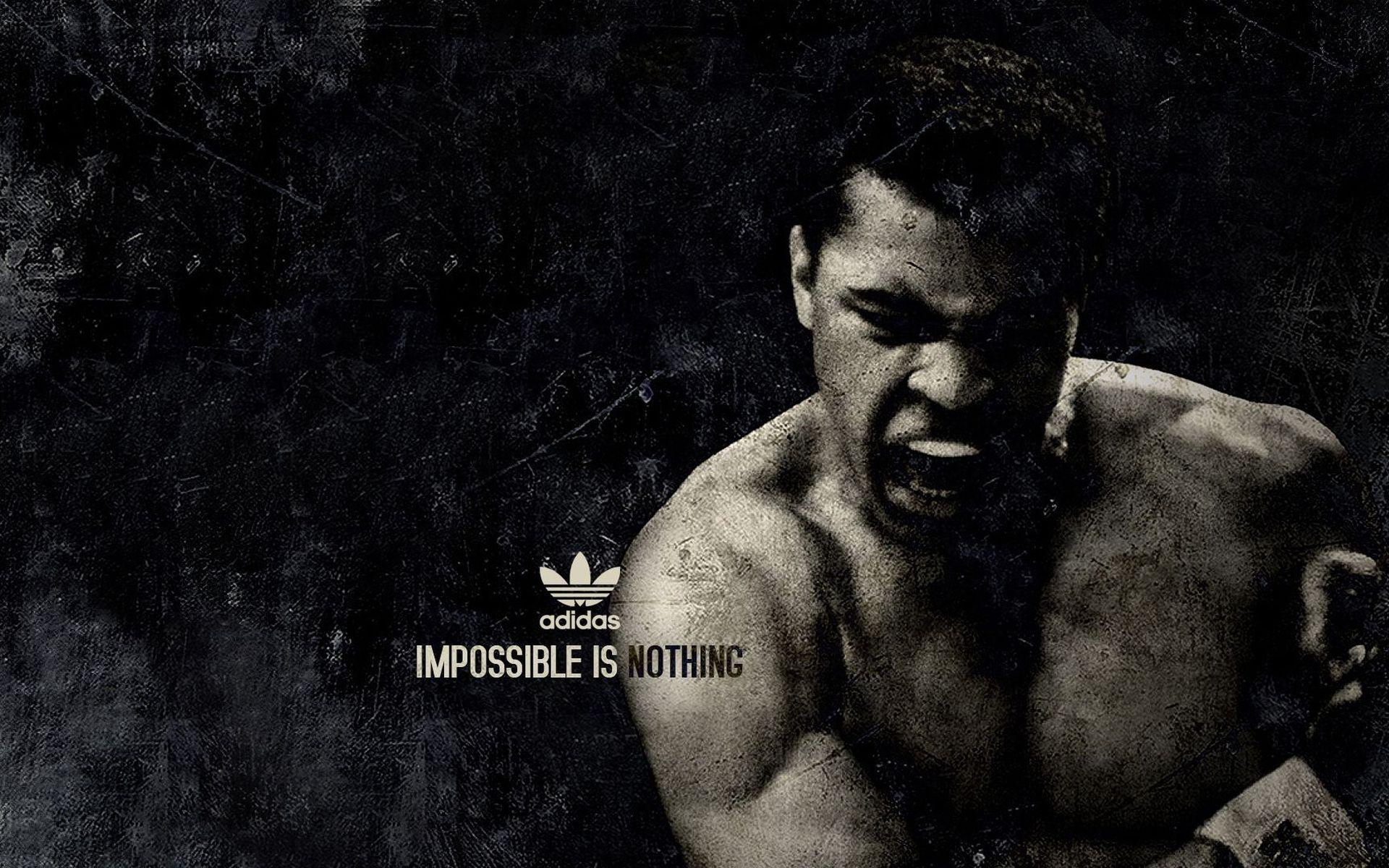 MMA HD Wallpaper, Picture, Image