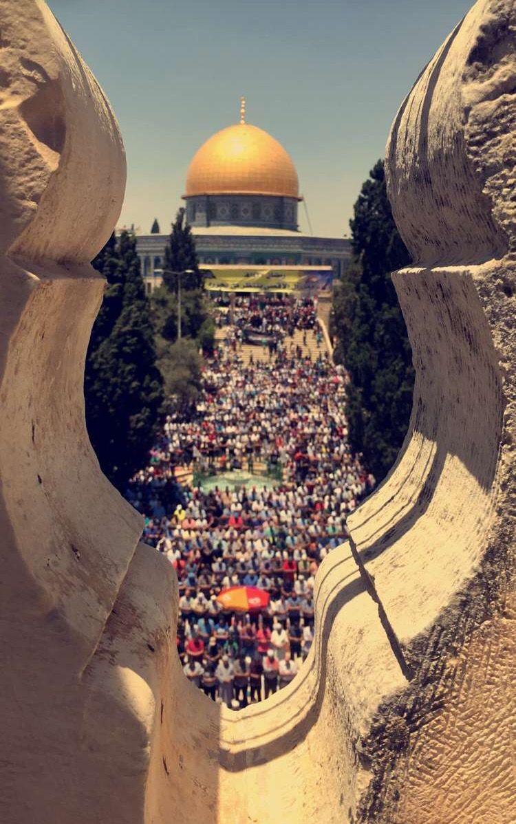 FREE PALESTINE. Free my brothers and sisters in Palestine