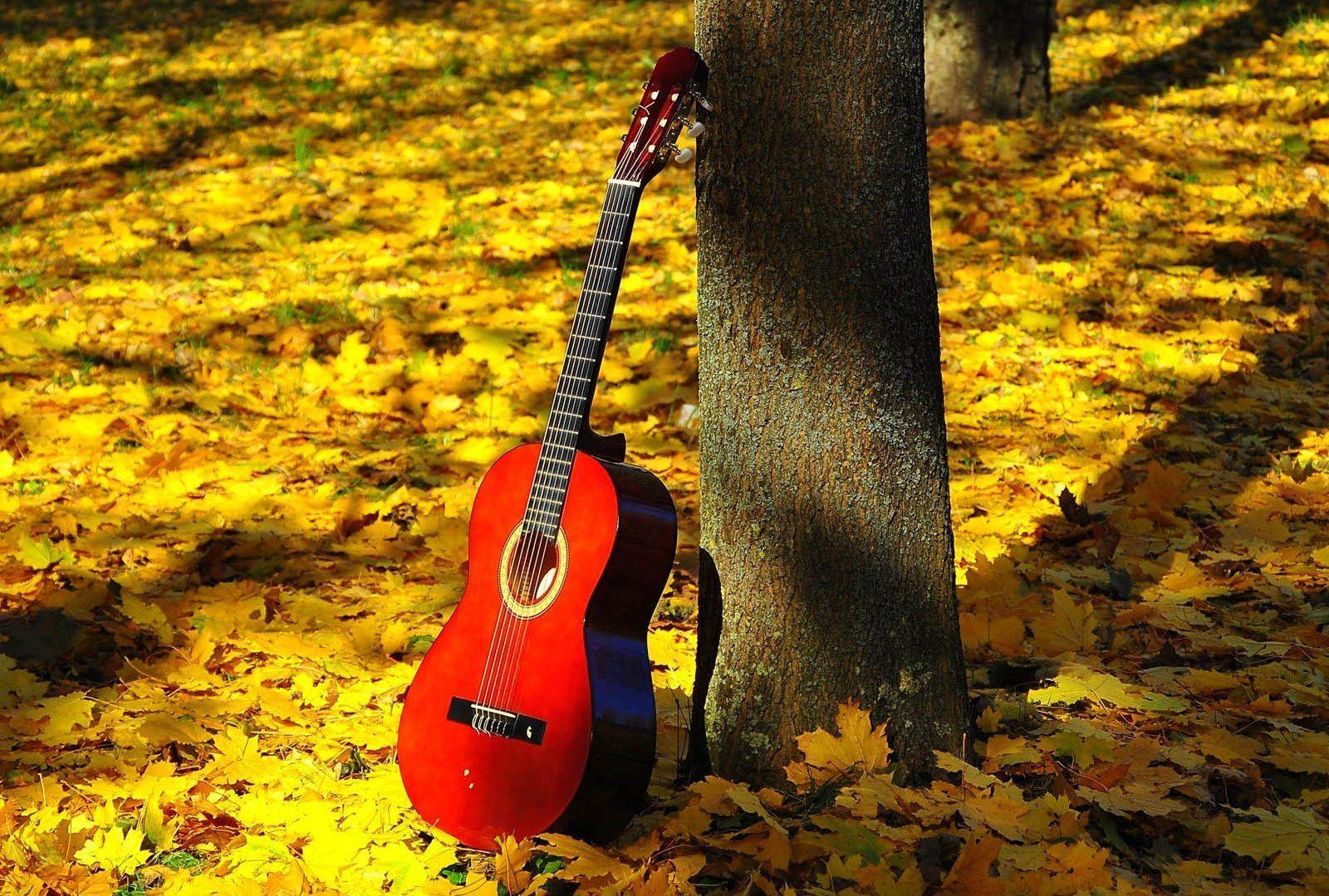 Find out: Classic Red Guitar wallpaper