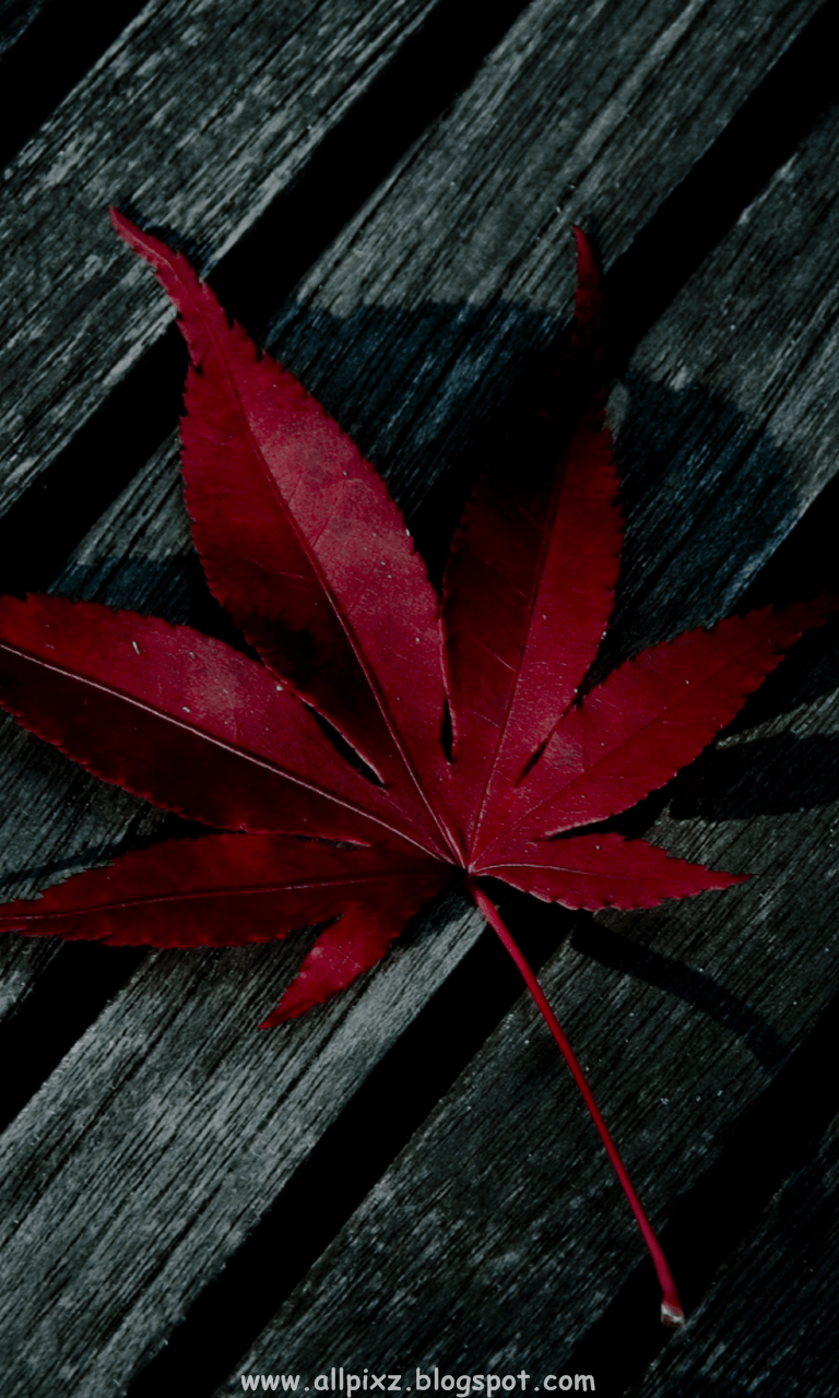 Wallpaper HD For Mobile Wallpaper HD For Mobile Background