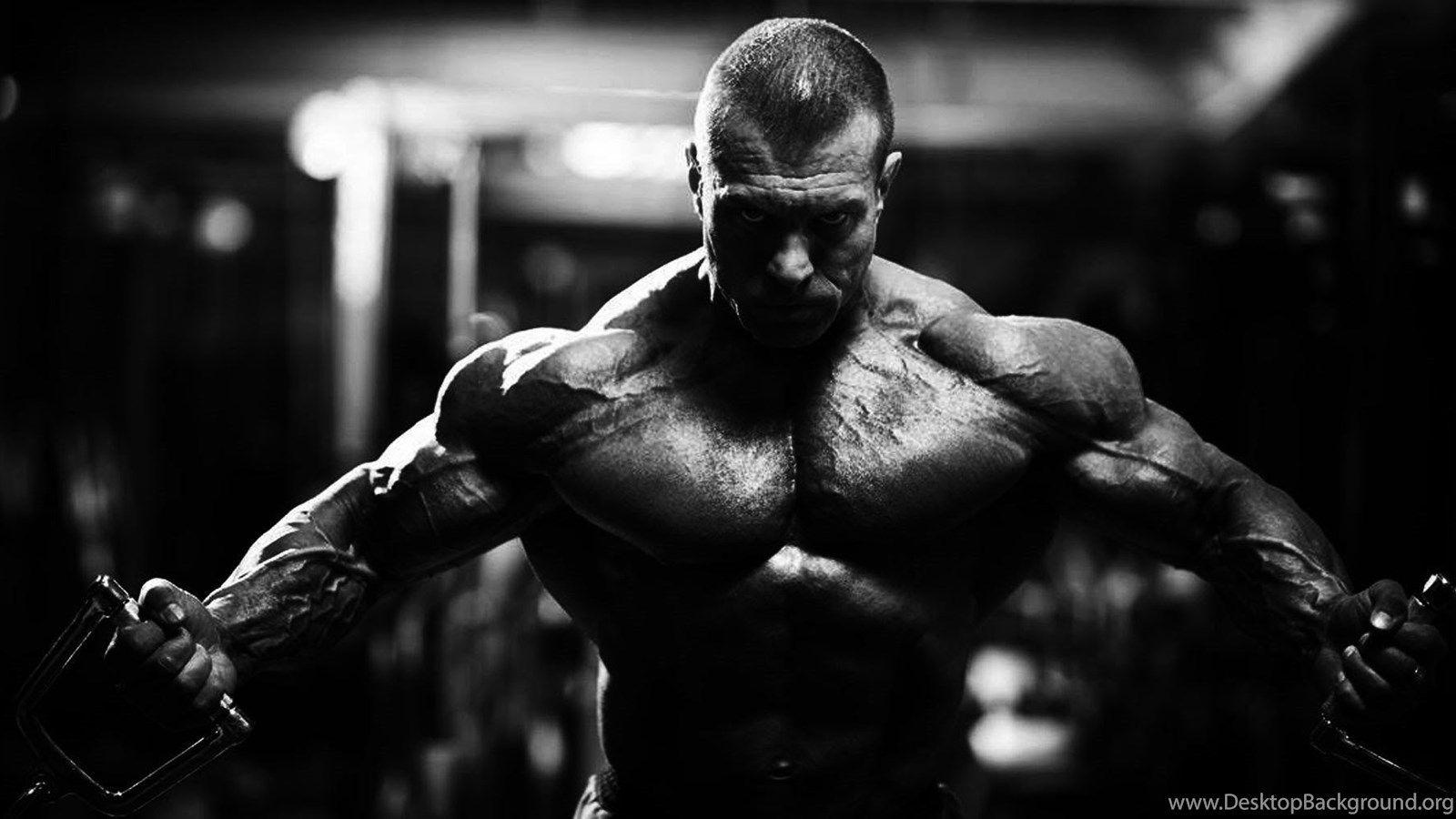 Weight Lifting HD Wallpaper Desktop Background