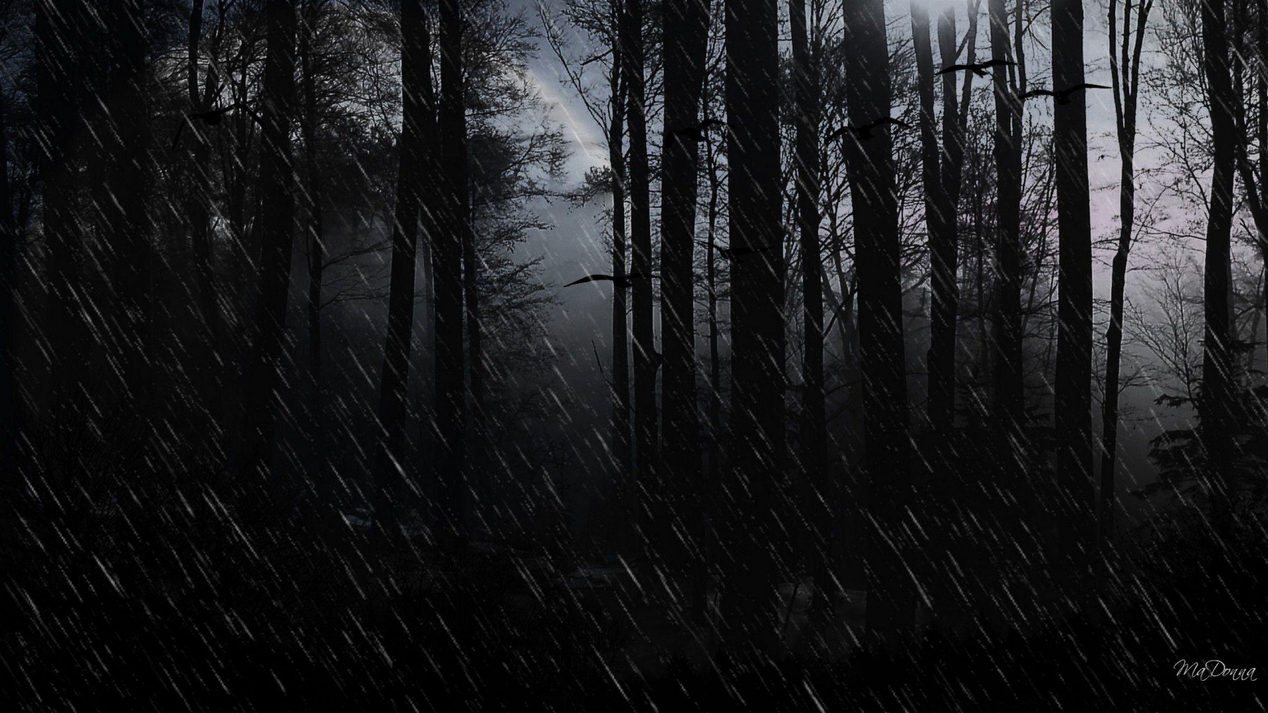 Dark City With The Rain Background Blackout Picture Background Background  Image And Wallpaper for Free Download
