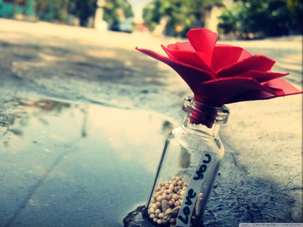Best Love Wallpaper