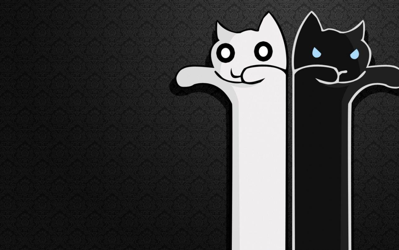 White Cat, Black Cat wallpaper. White Cat, Black Cat