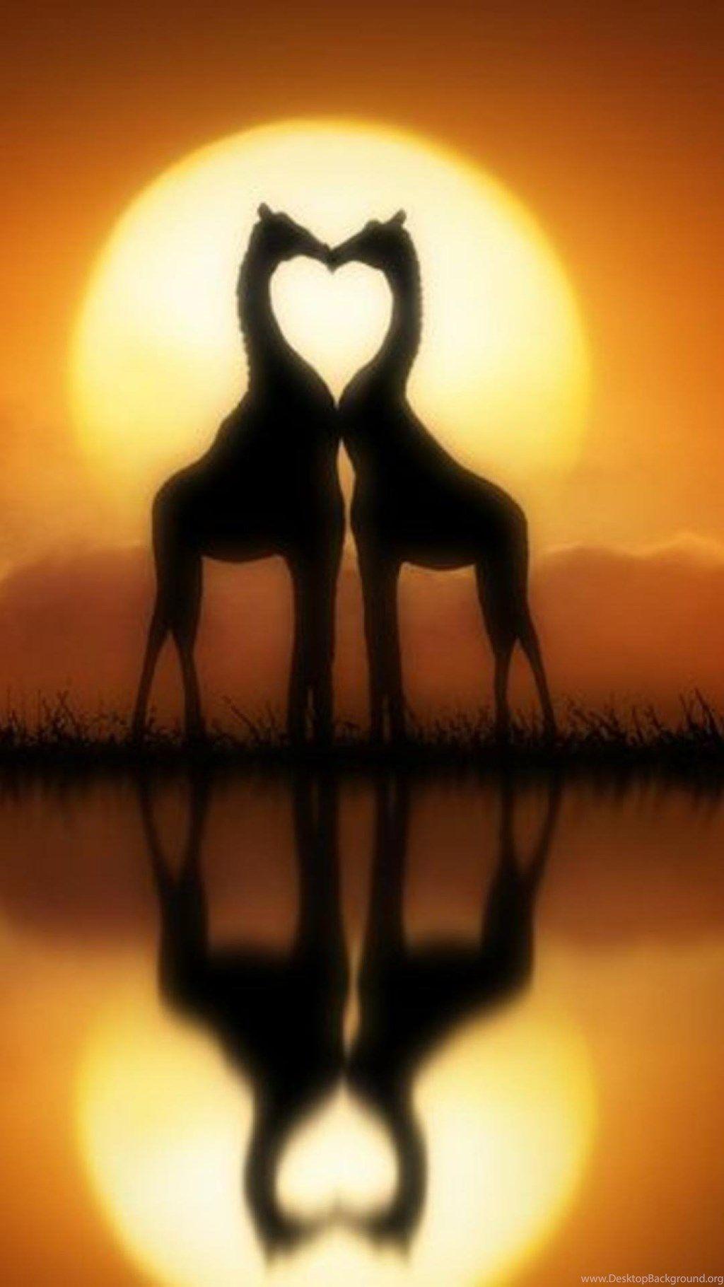Giraffe Love Quotes iPhone 6 Plus Wallpaper Desktop Background