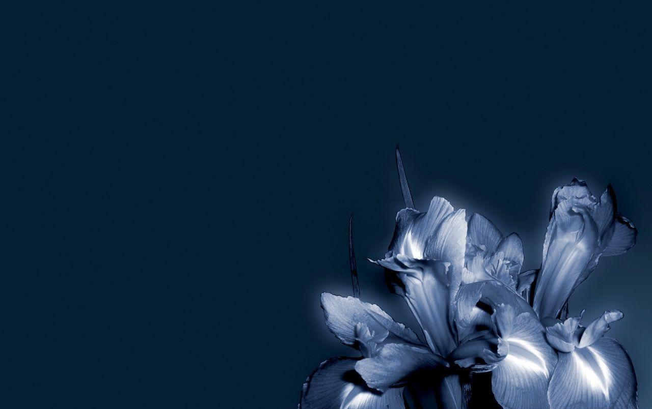 Blue flower wallpaper. Blue flower