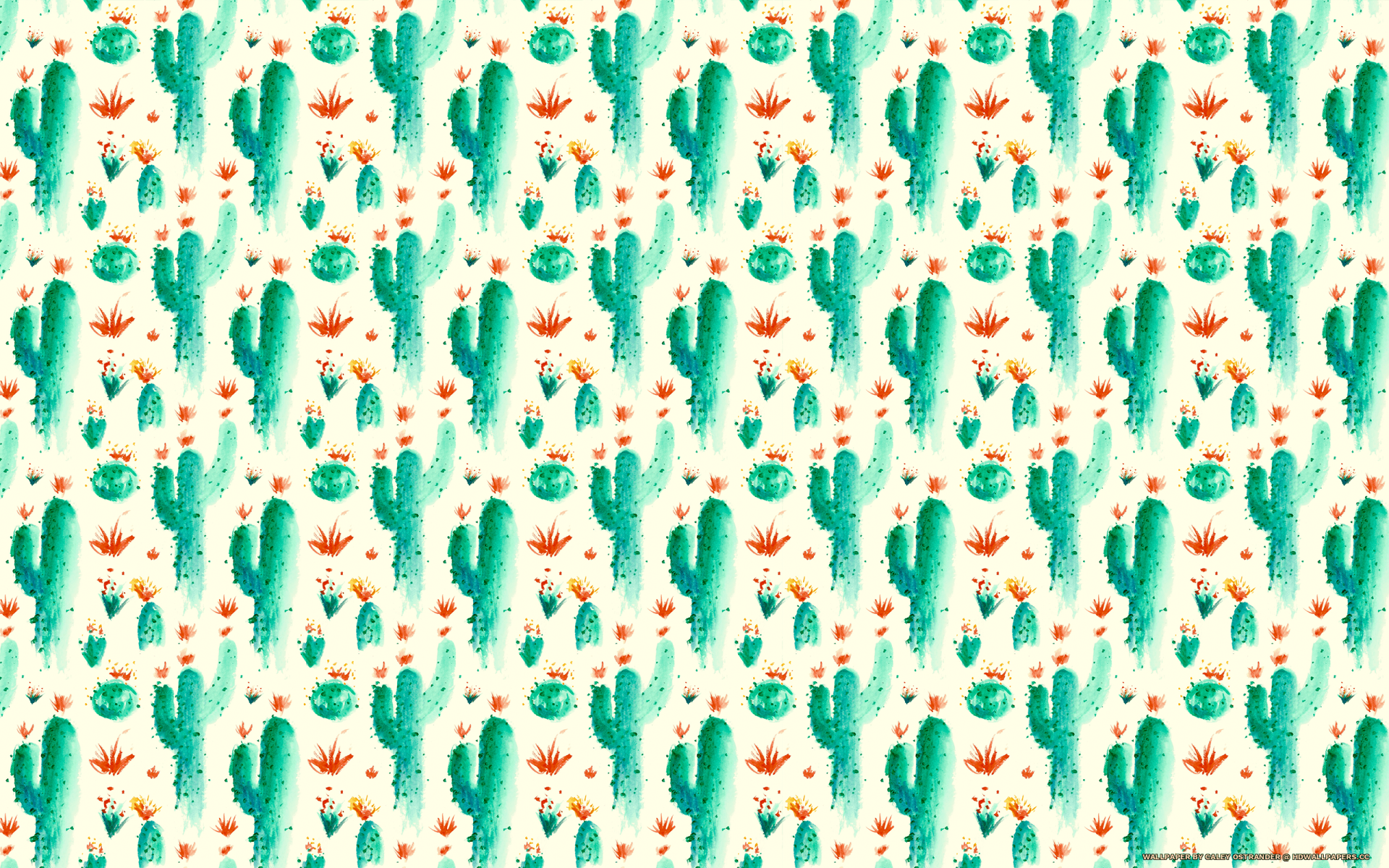 Cactus pattern