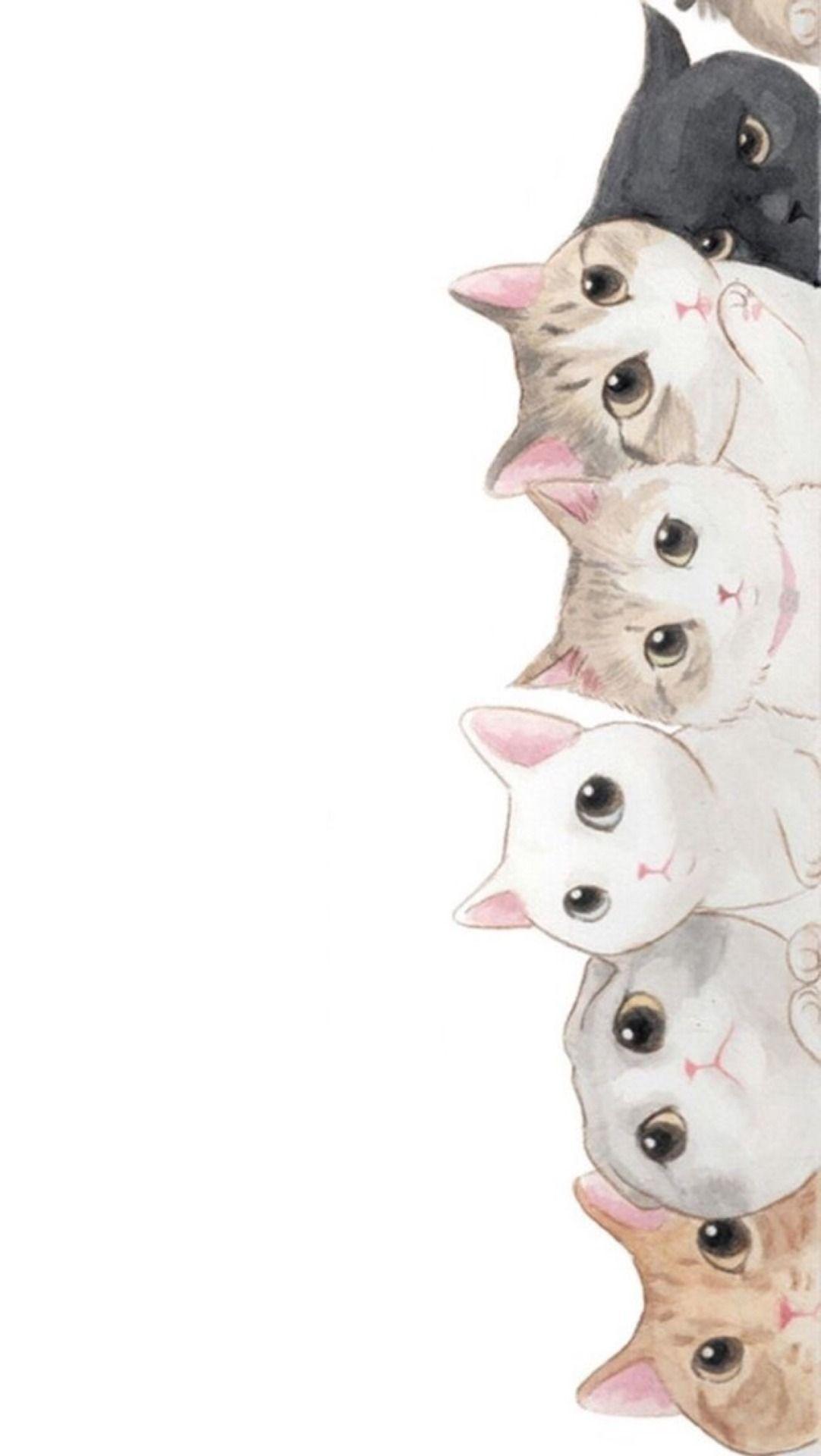 funny cat iphone wallpaper
