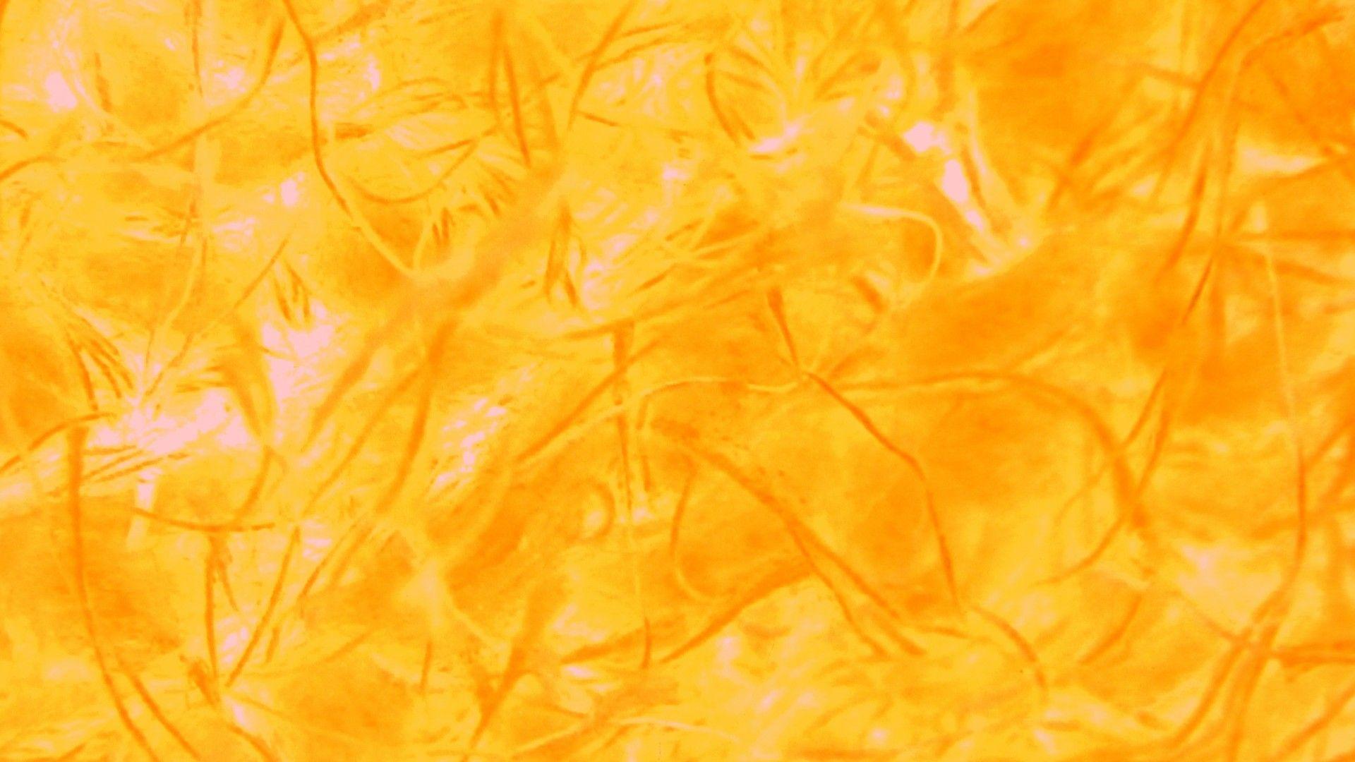 Orange Pattern Background Free Domain Picture