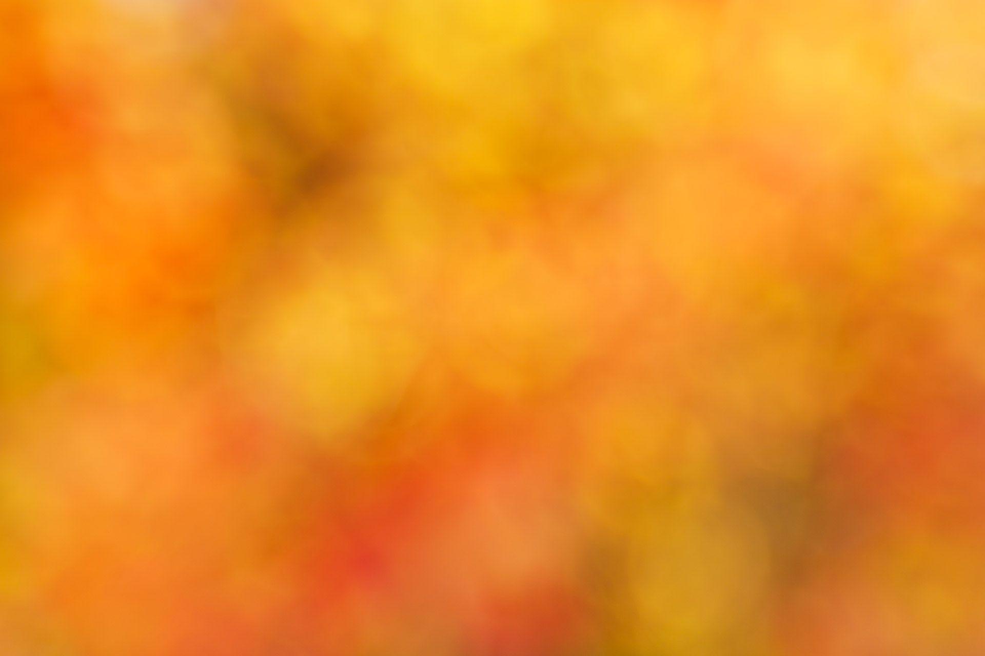Orange Blurred Background Free Domain Picture