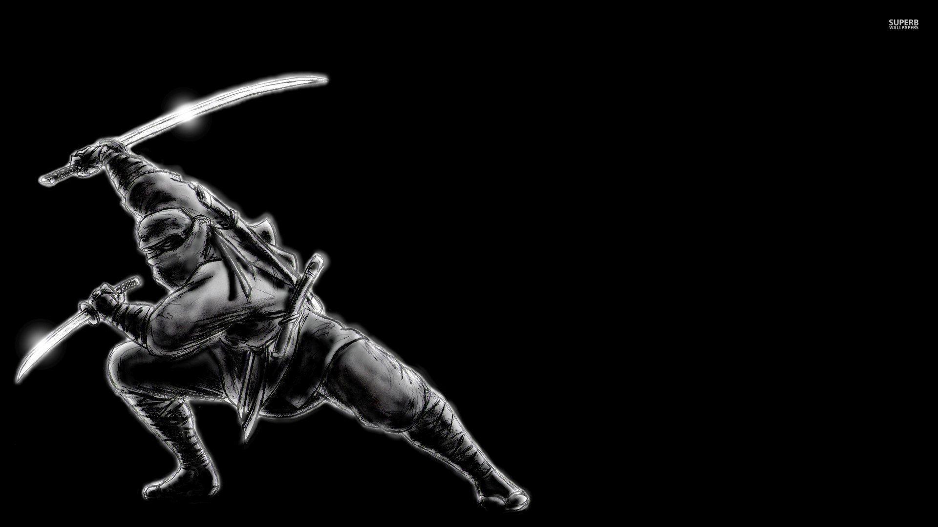 200 Ninja Wallpapers  Wallpaperscom