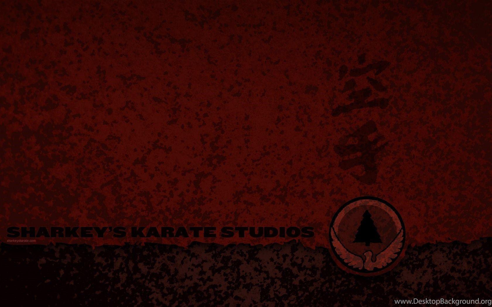 Wallpaper Karate Sharkey S Studios 1680x1050 Desktop Background