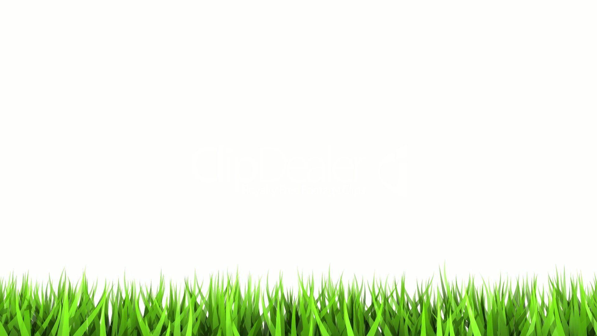 image of Wallpaper White And Green - #SpaceHero