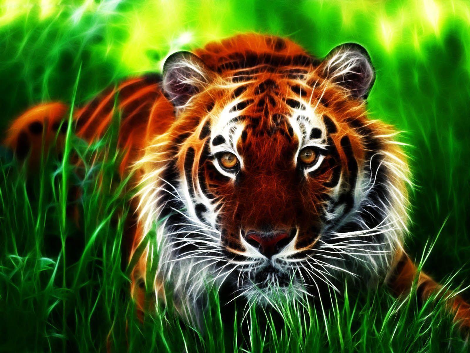 Animated Tiger 3D Animal HD Desktop Wallpaper Wallpaper