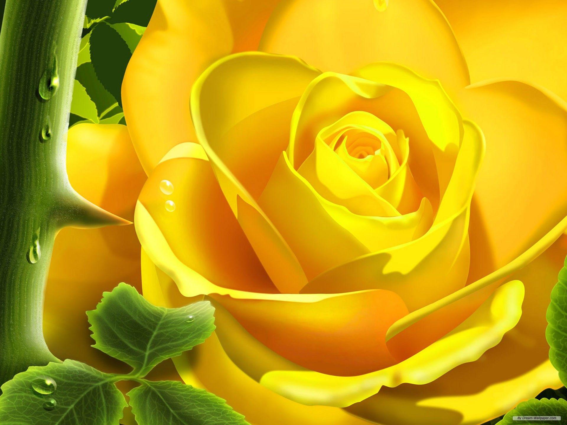 Top Free Wallpaper. (68++ Wallpaper)