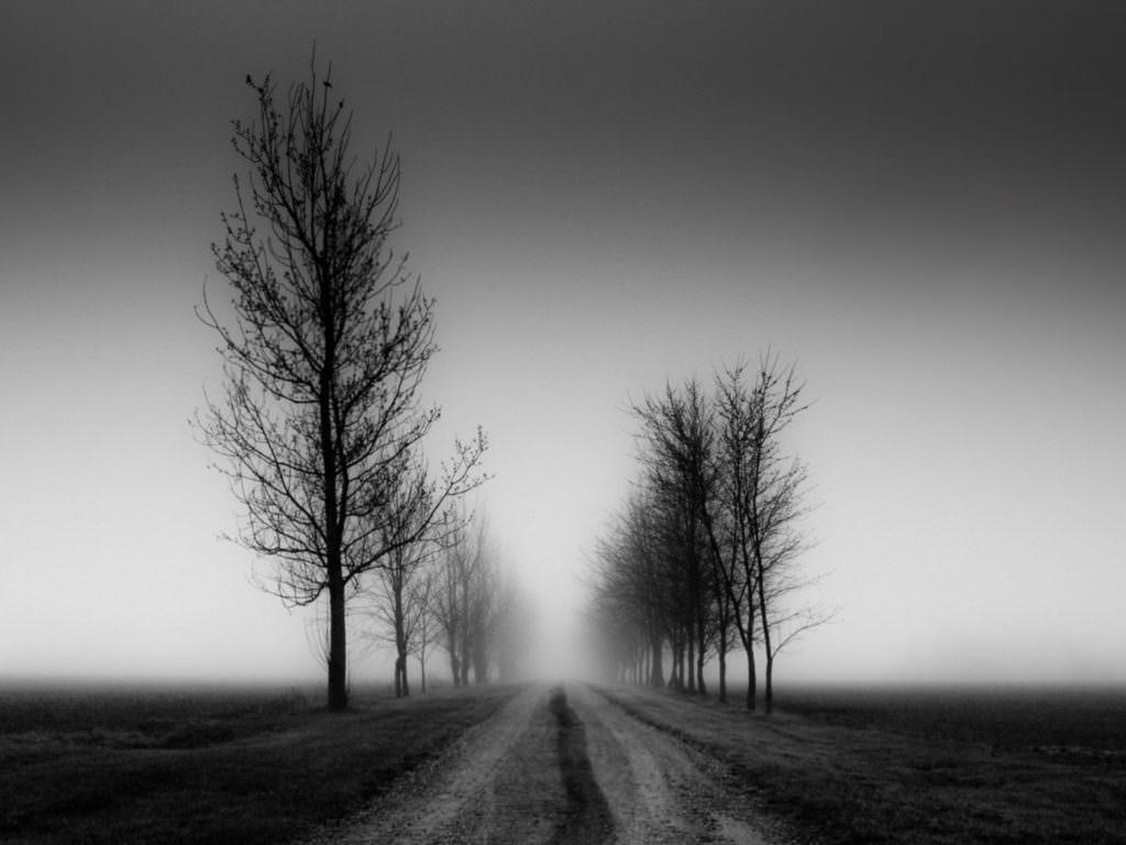 Nature Black Wallpaper Wide HD 4K