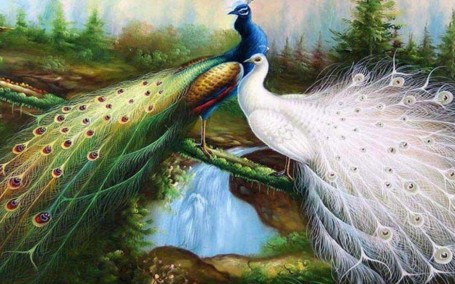 Peacock wallpaper wide. drawings n paintings in 2019