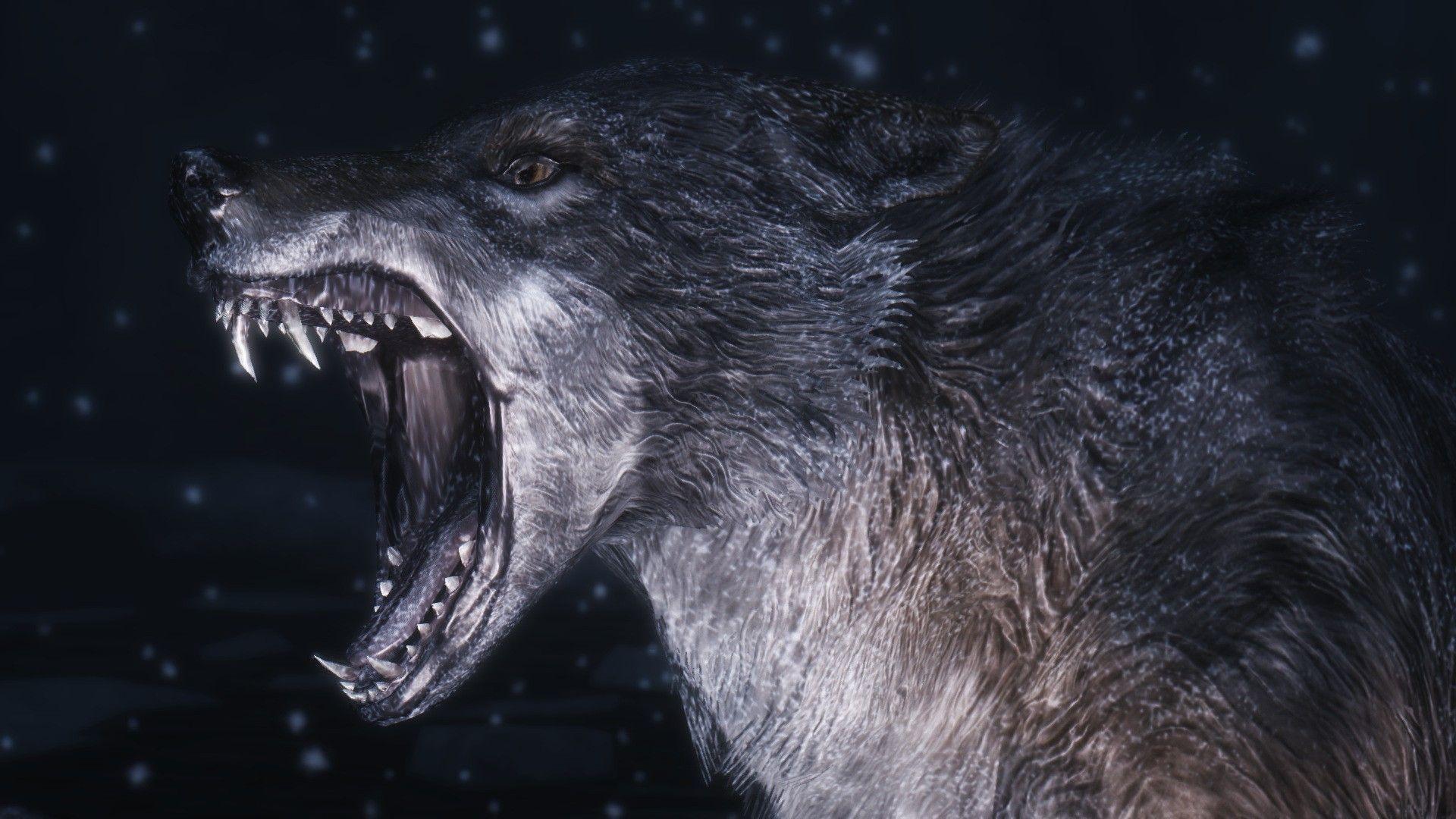 Fierce Wolf HD Wallpaper: Raw Power