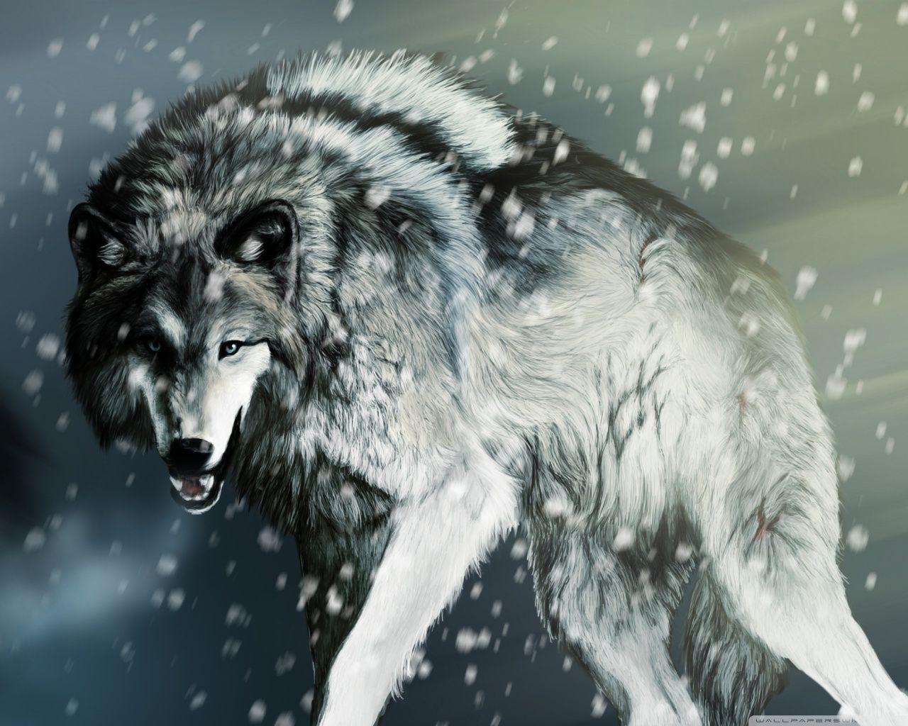 Wild Wolf Wallpapers - Wallpaper Cave