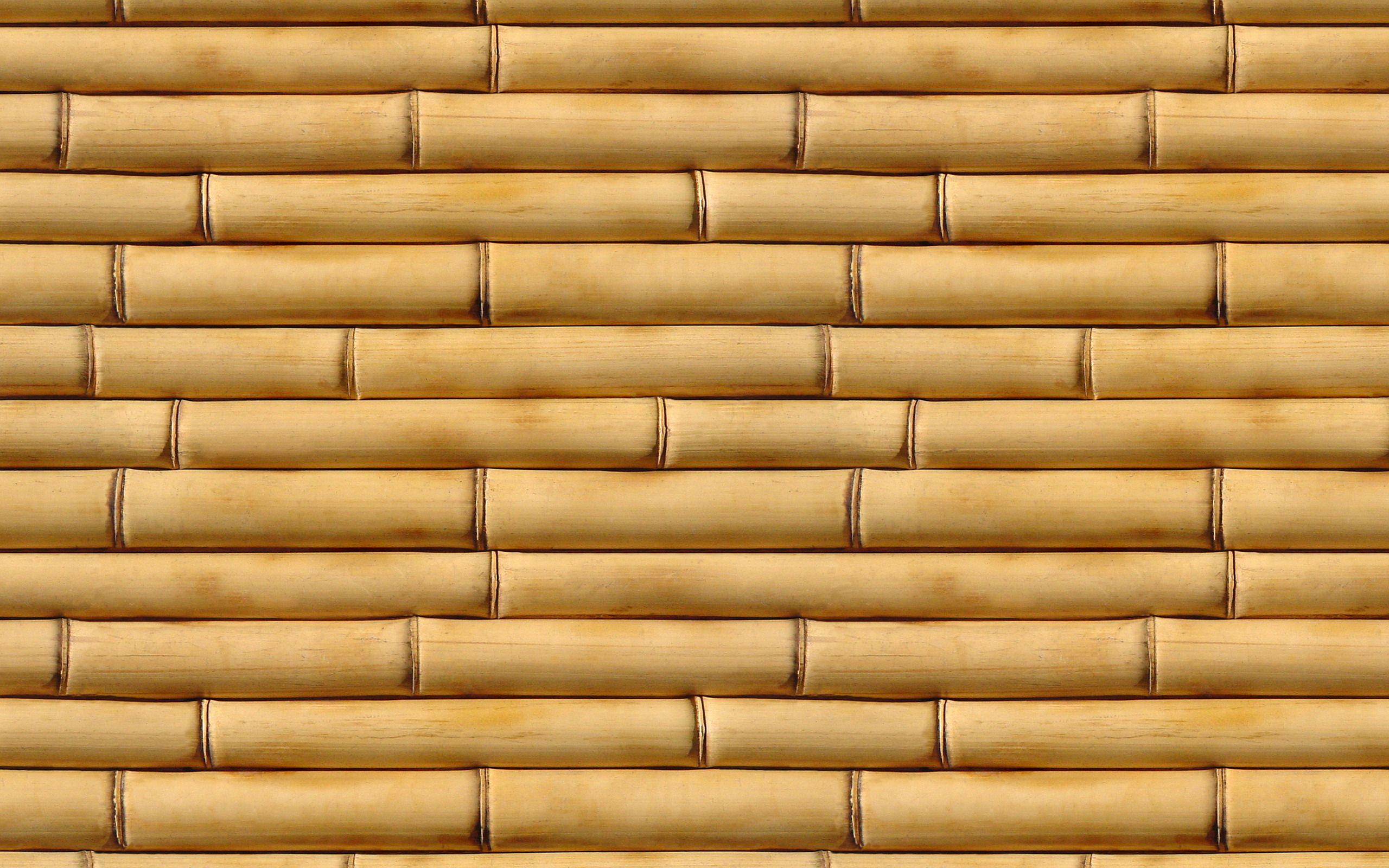 Bamboo Background Three. Photo Texture & Background