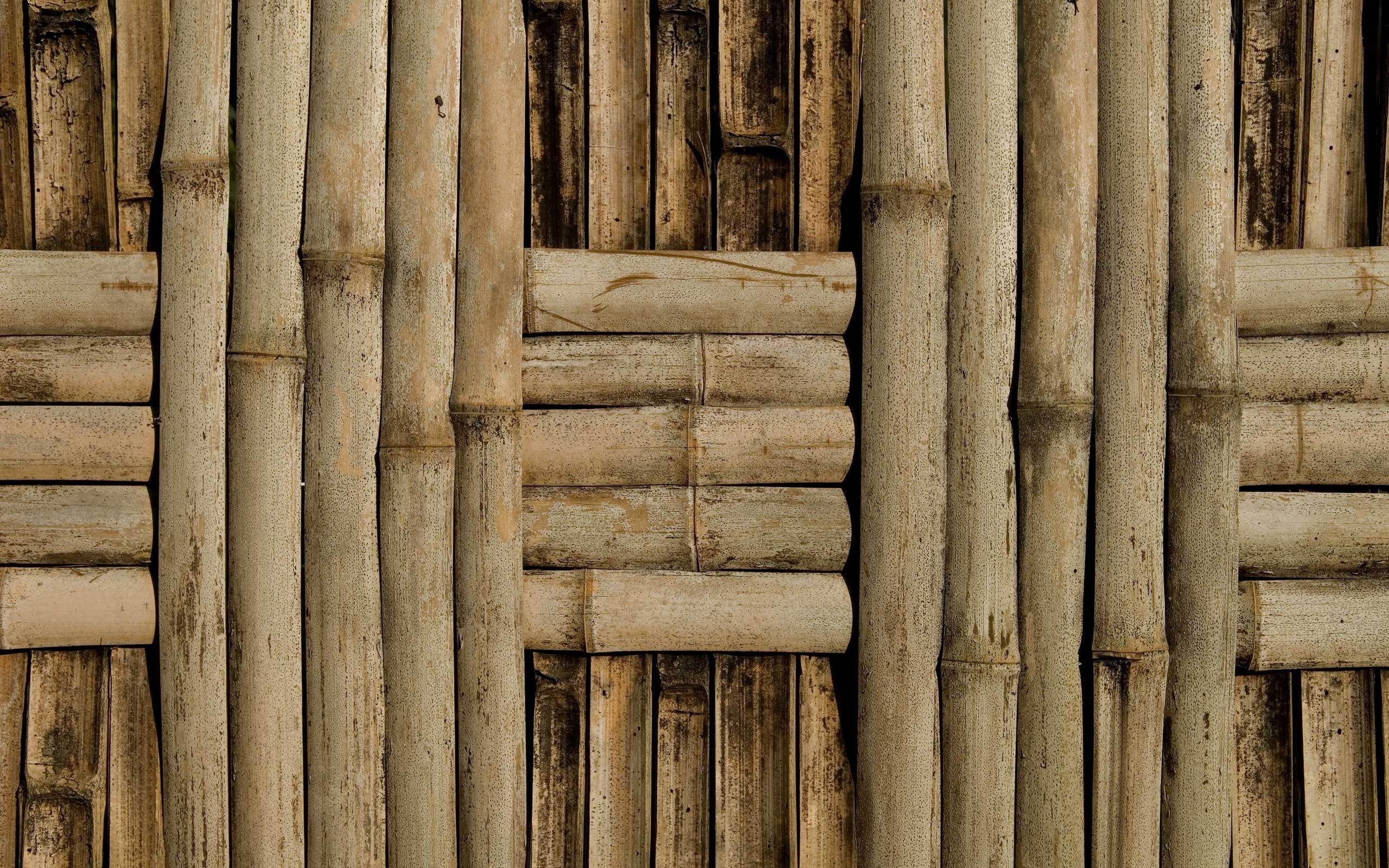 bamboo, texture bamboo?, bamboo texture, photo, background. PRINT