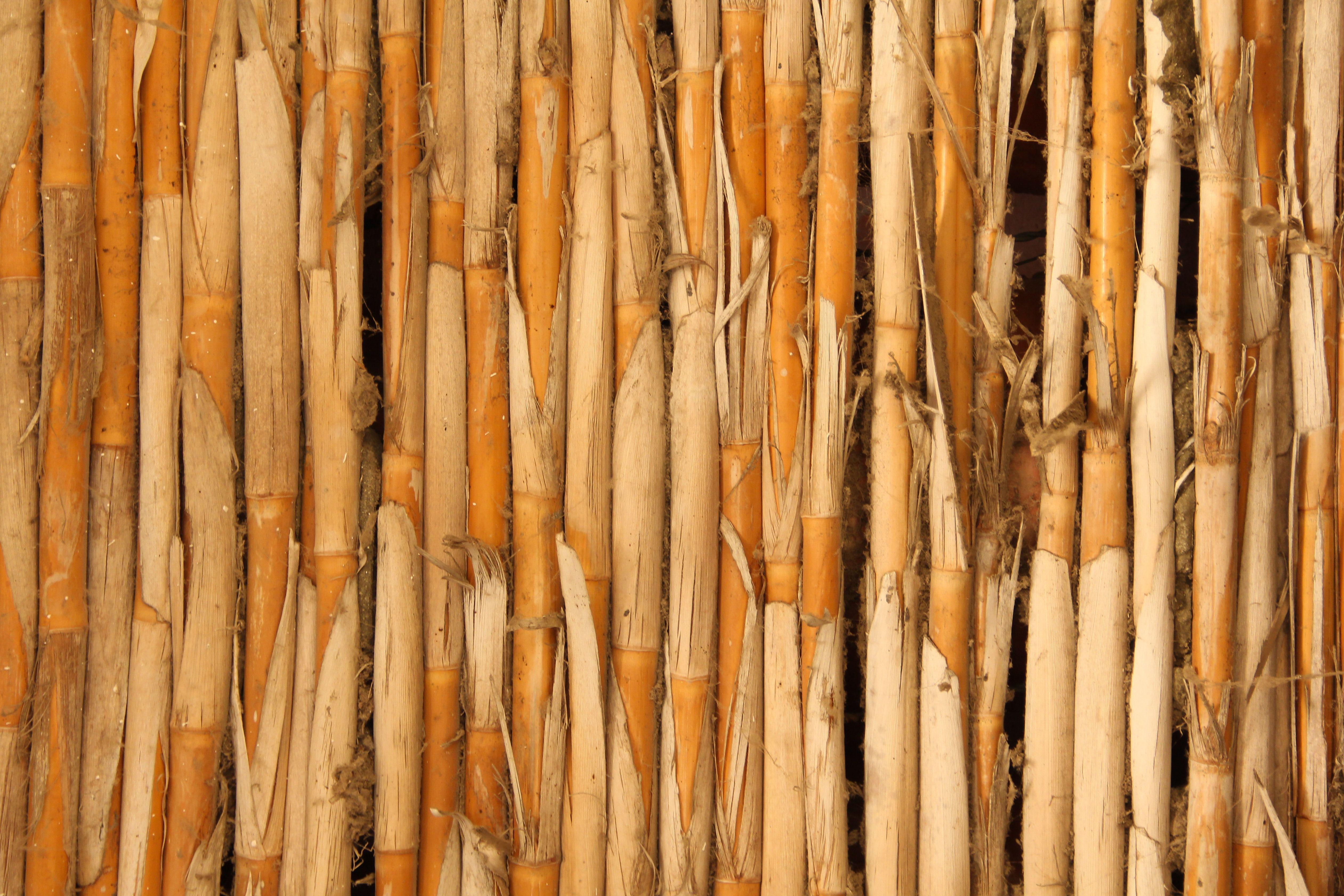 wood texture stick fence bamboo grass natural