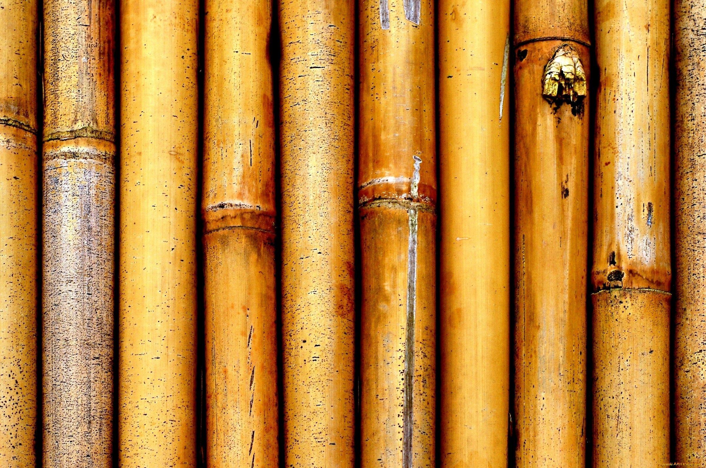 Bamboo Background Two. Photo Texture & Background