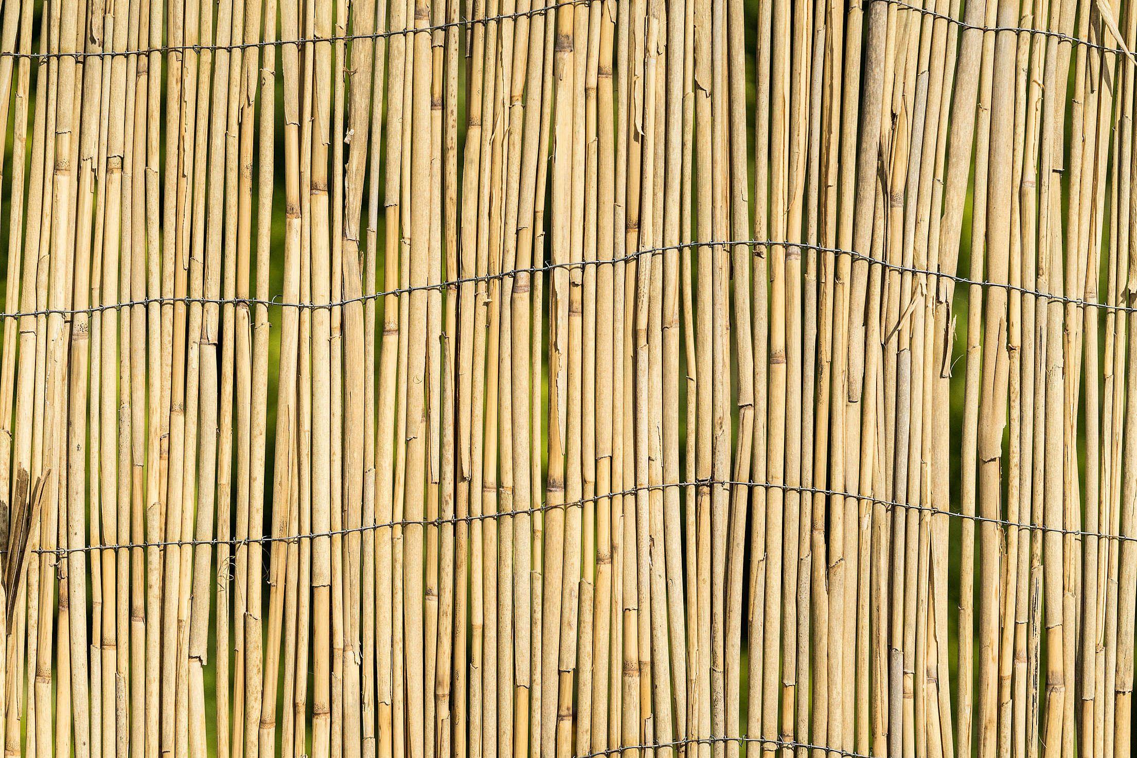 Garden Bamboo Wall Fence Texture Background Free Photo Download