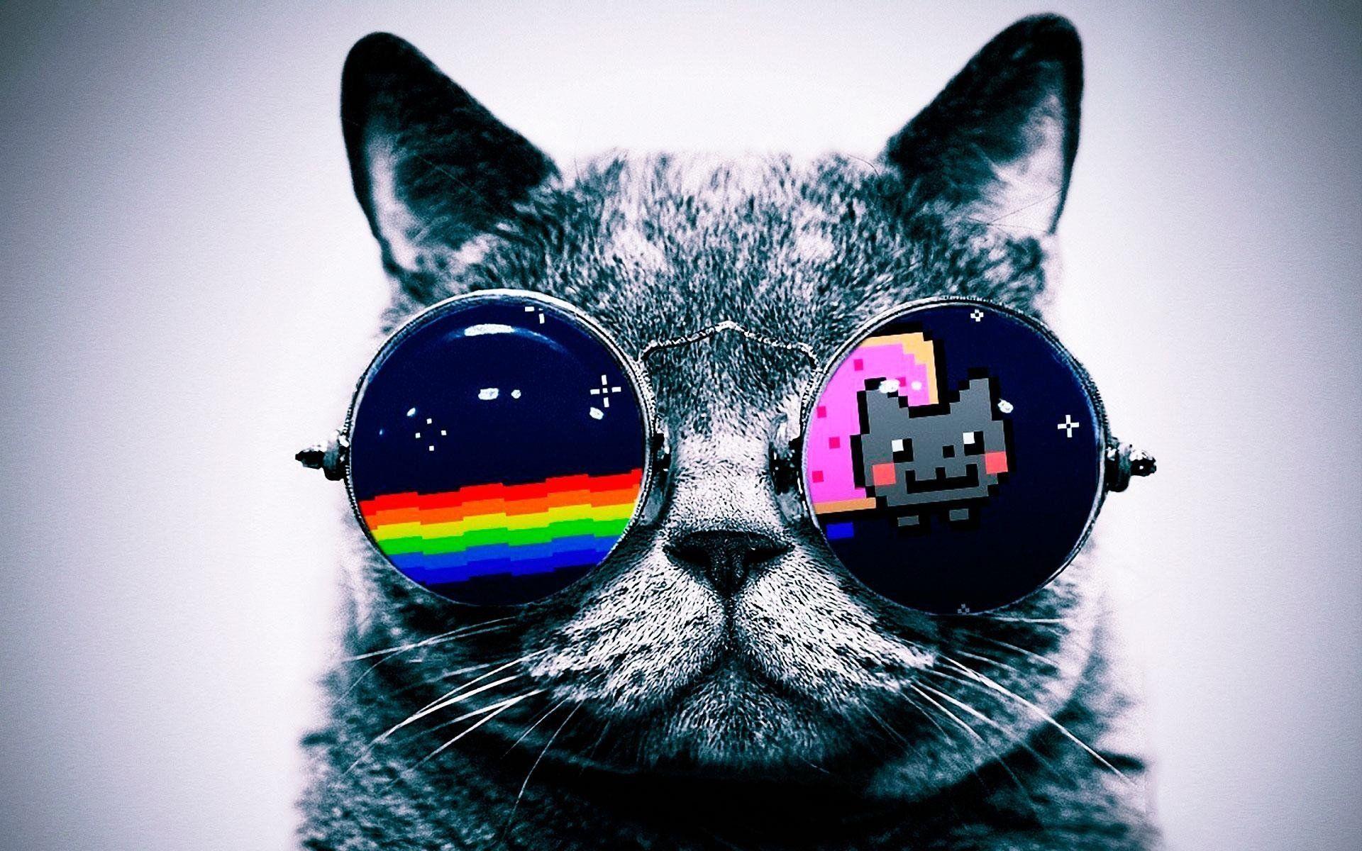 Hipster Cat background. Gatos. Nyan cat, Wallpaper