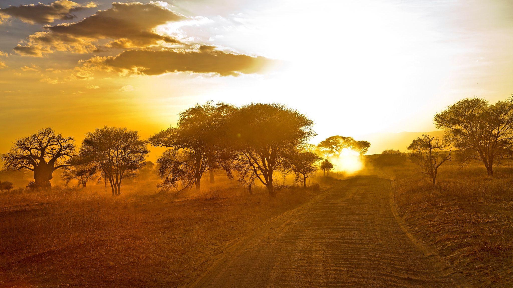 Download wallpaper 2048x1152 africa, road, sunrise, sand, trees