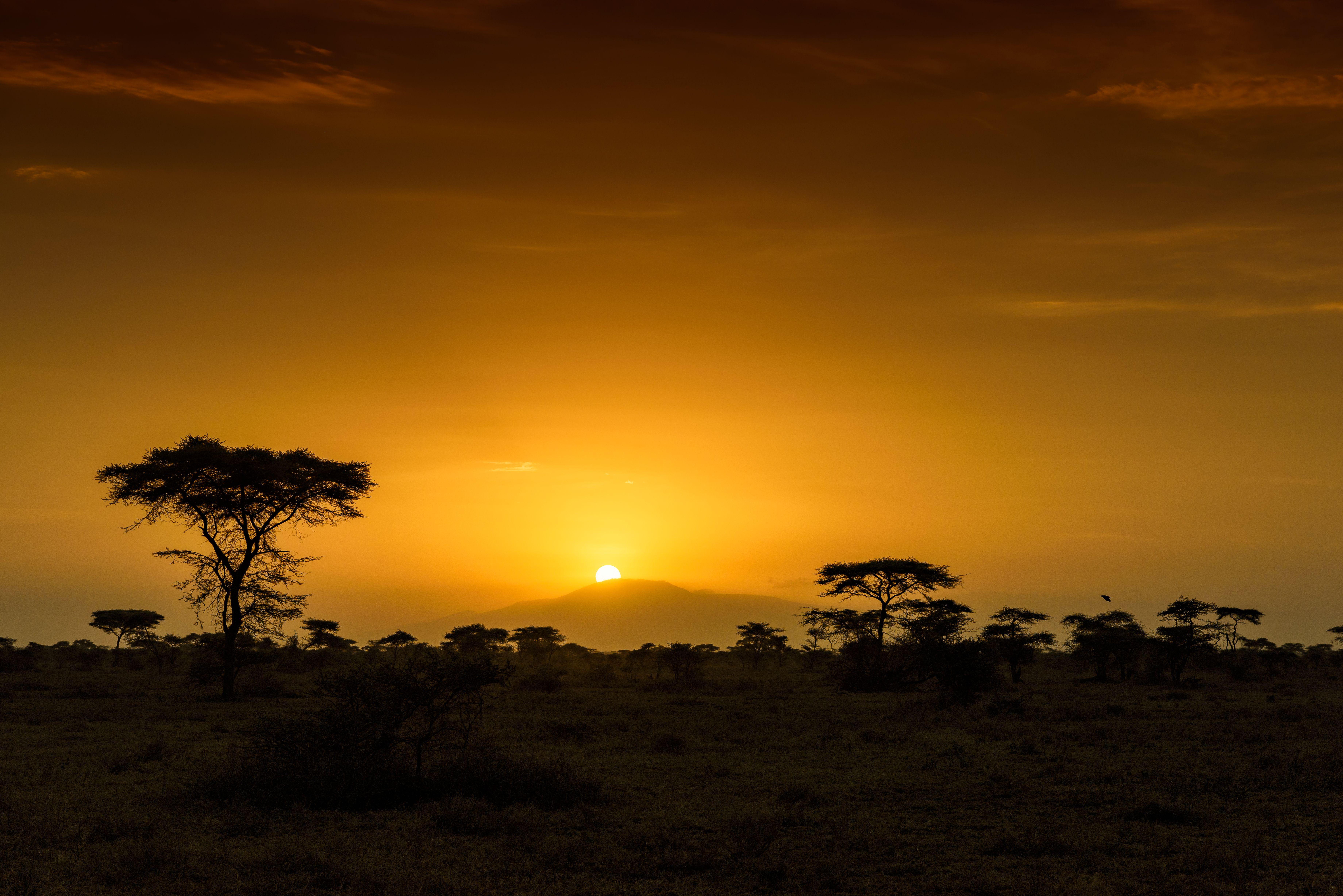Sunrise in Africa 5k Retina Ultra HD Wallpaper