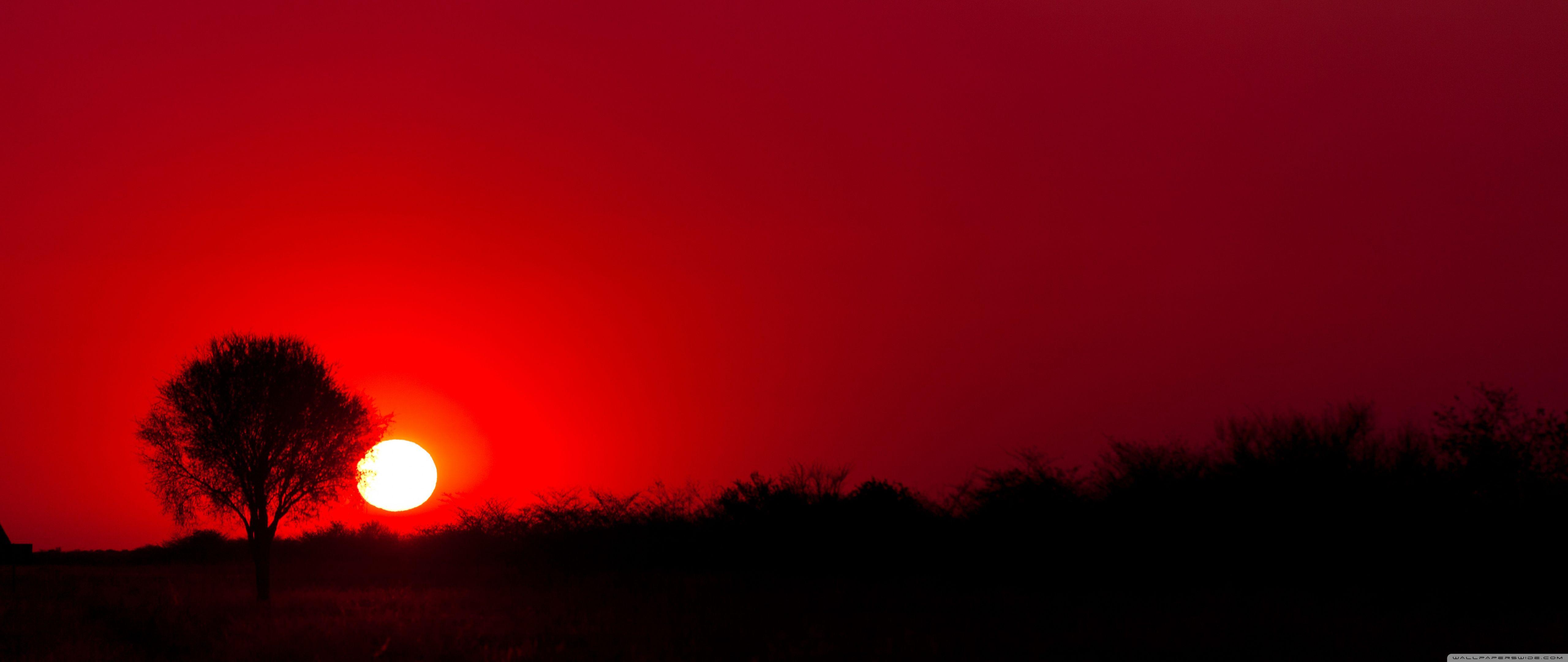 Red Sunset, Botswana, Africa ❤ 4K HD Desktop Wallpaper for 4K Ultra