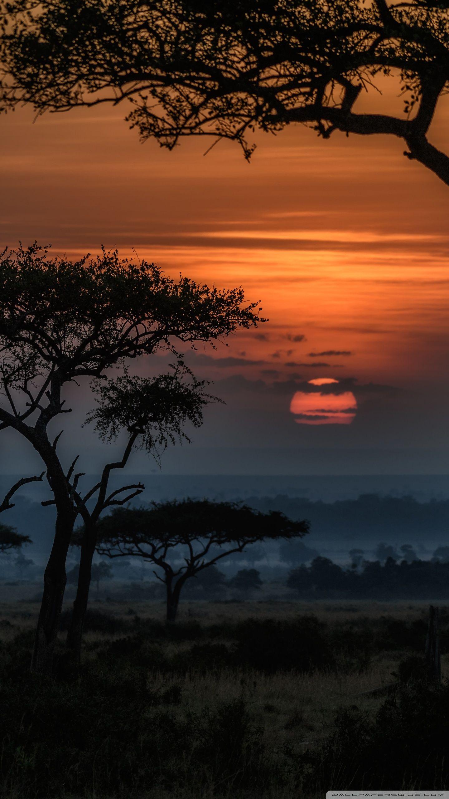 Sunrise in Masai Mara, Kenya, Africa Ultra HD Desktop Background
