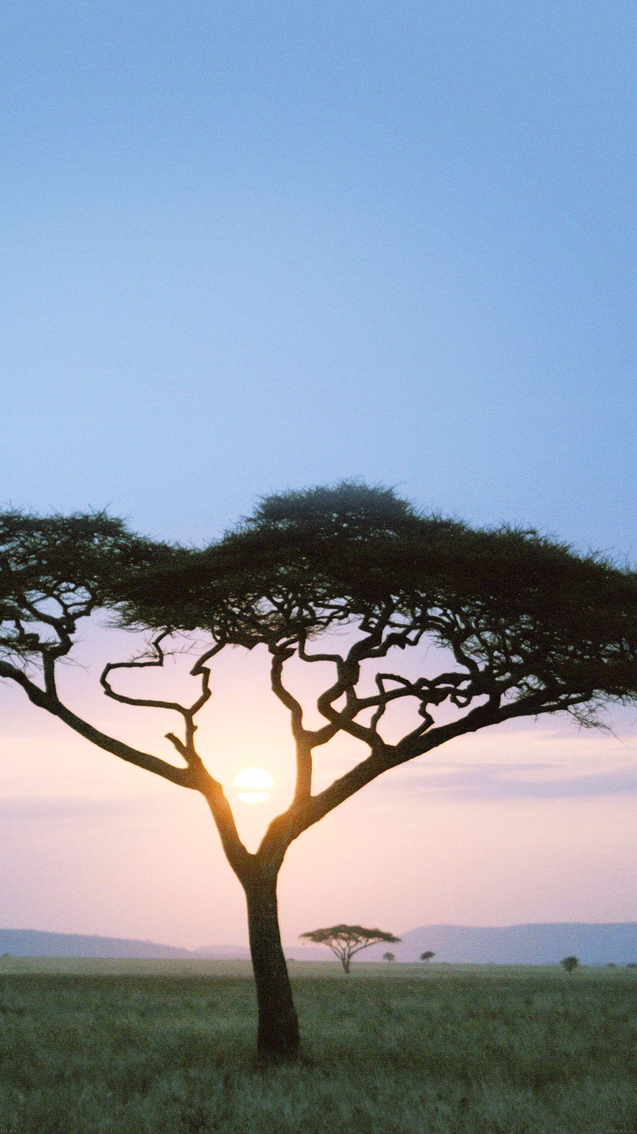 iPhone7papers tree safari day africa sunrise