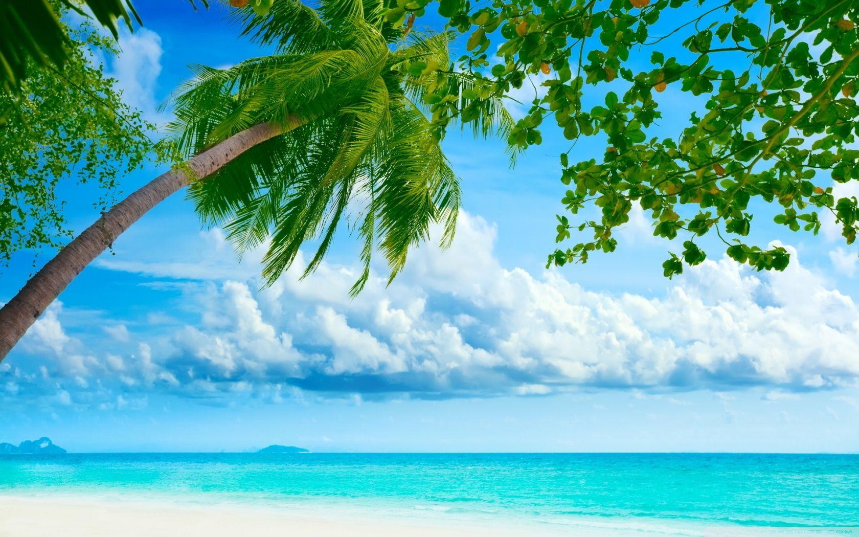 Tropical Beach Resorts ❤ 4K HD Desktop Wallpaper for 4K Ultra HD TV
