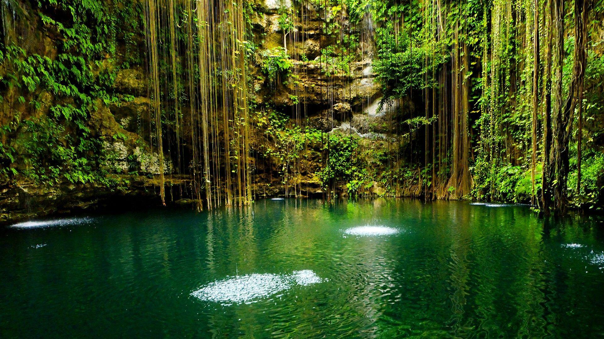 Hd Wallpaper Widescreen