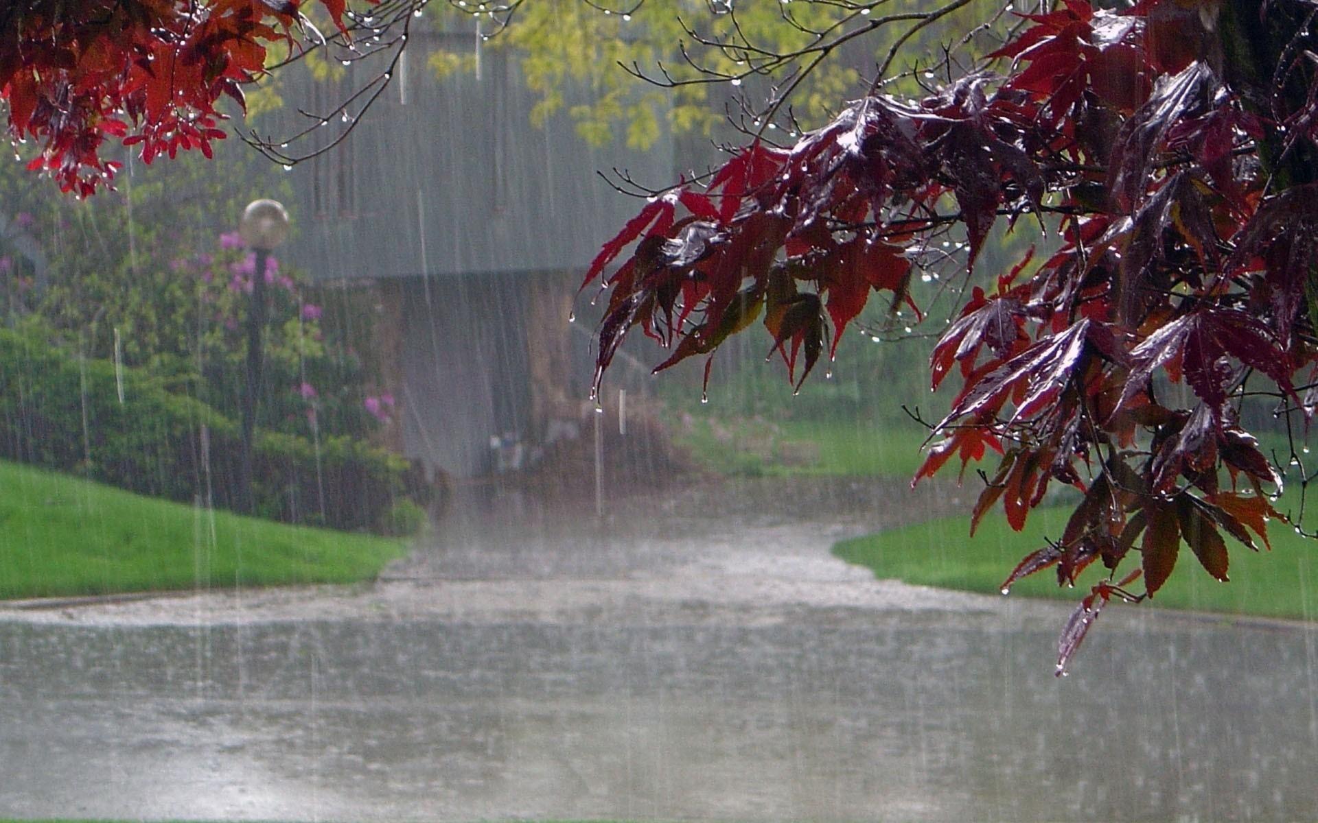 Romantic Monsoon Songs, You May Enjoy In Rainy Season