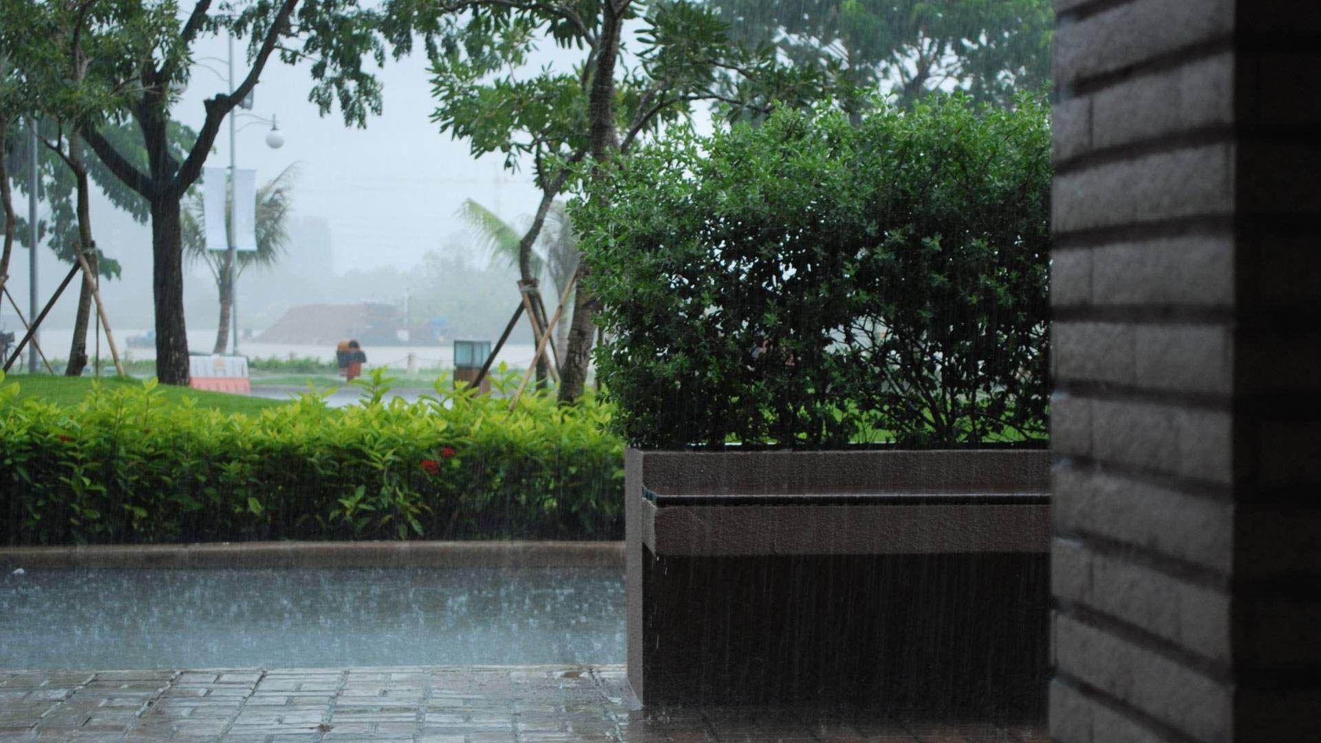 Monsoon HD Photo. Beautiful Rainy Season Water Drops Wallpaper