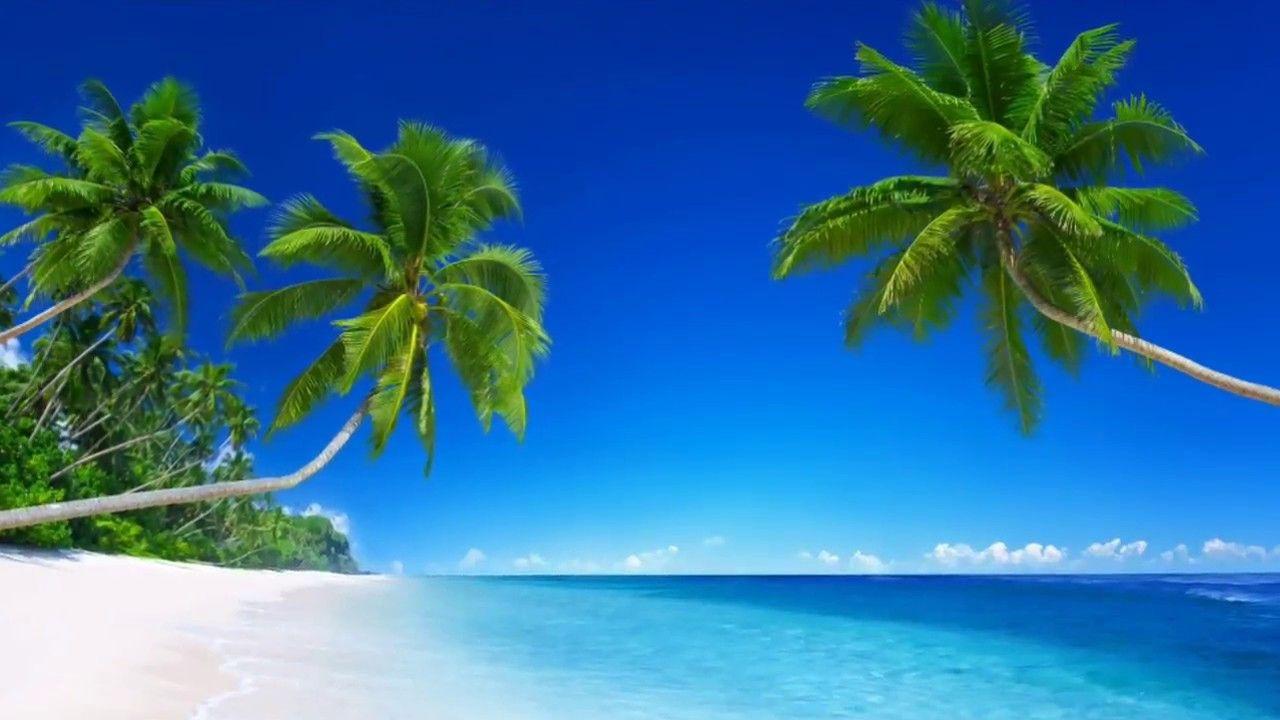 Natural Wallpaper Slideshow FULL HD 1080p. Natural 4 You