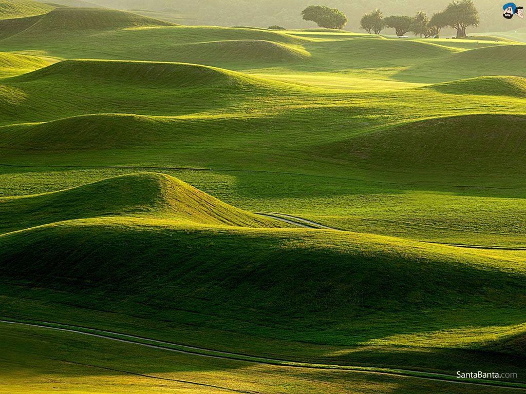 Golf Course Wallpaper